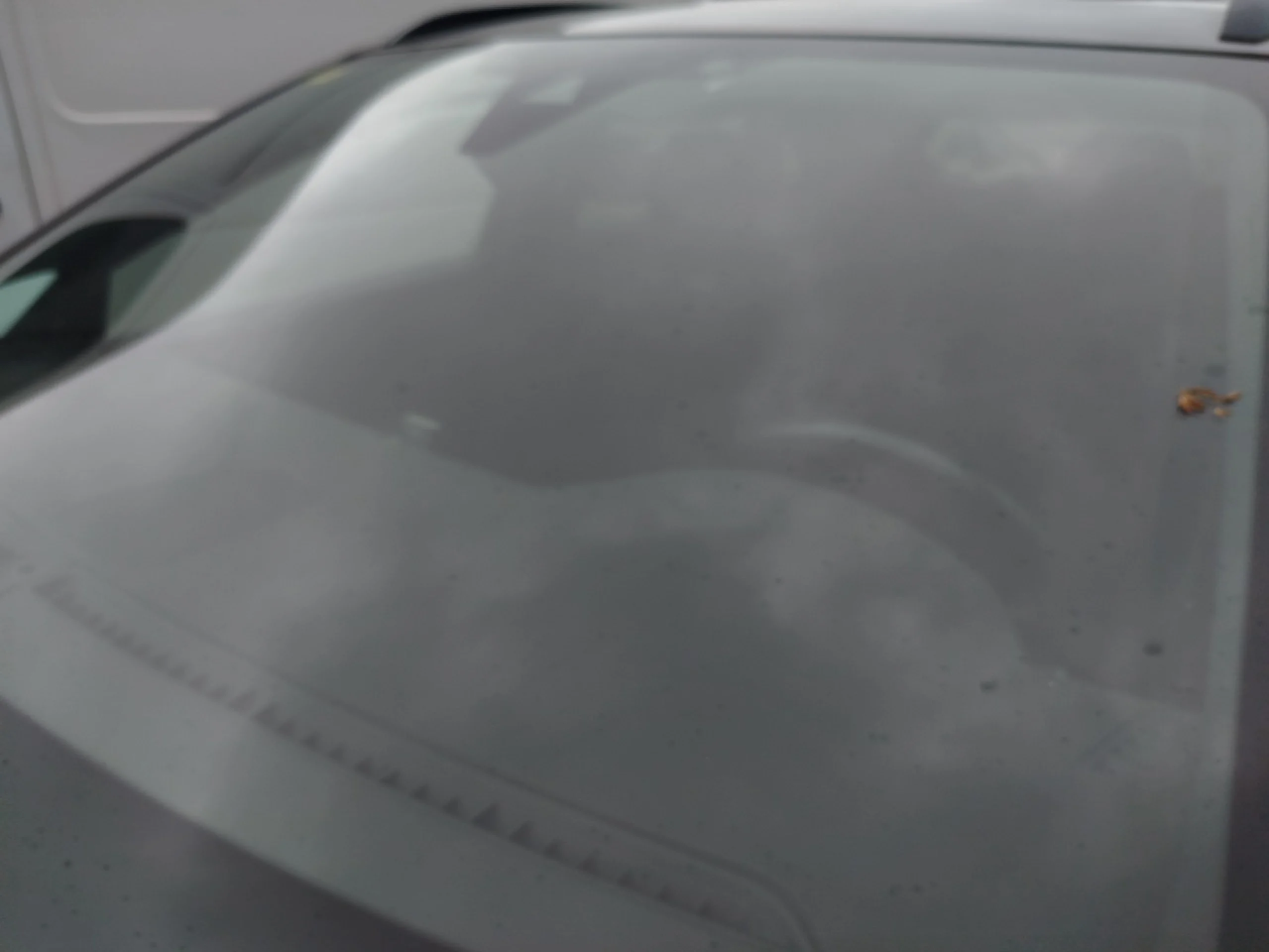 DS DS7 Crossback DS 7 CROSSBACK BlueHDi 132kW (180CV) Auto. PERF.LINE - Foto 8