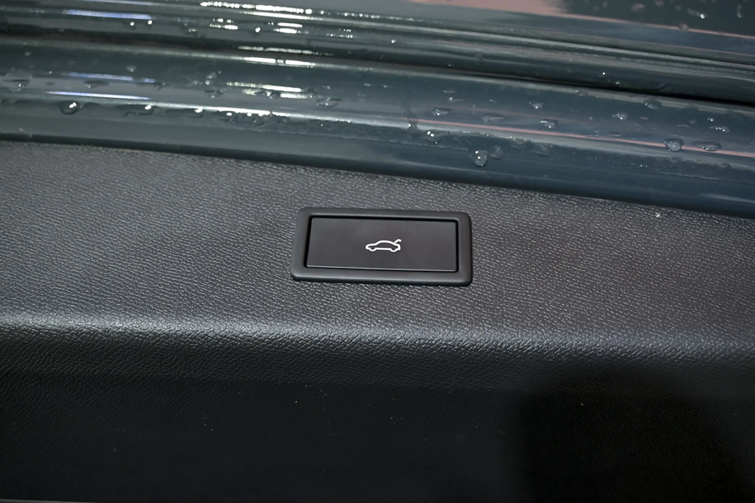 CUPRA León SP 1.5 eTSI 110kW 150CV DSG - Foto 33