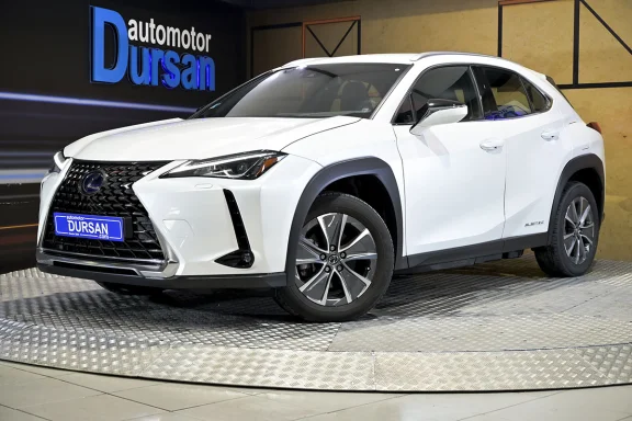 Lexus UX 300E Business