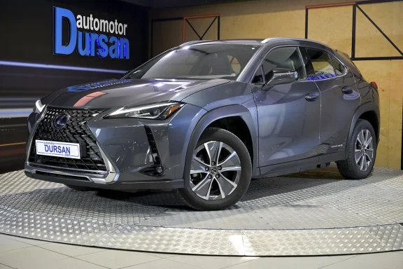 Lexus UX 300E Business