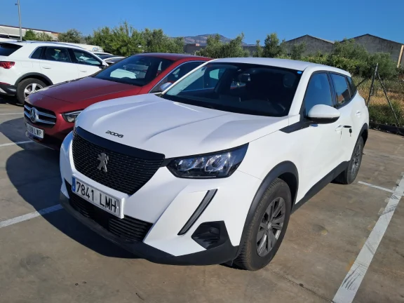 Peugeot 2008 Active Pack BlueHDI 81kW (110CV)