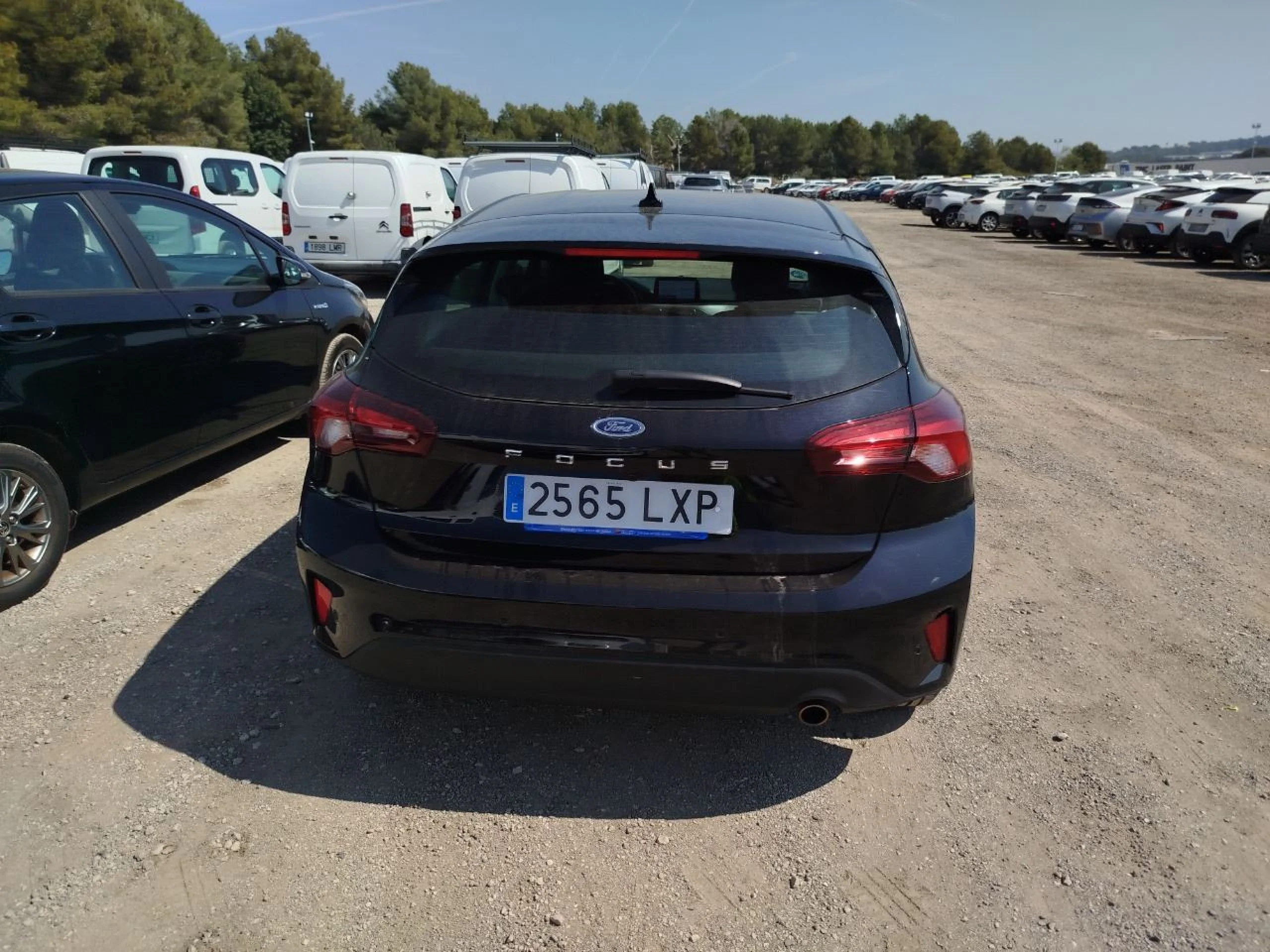 Ford Focus 1.0 Ecoboost MHEV 92kW Trend+ - Foto 5