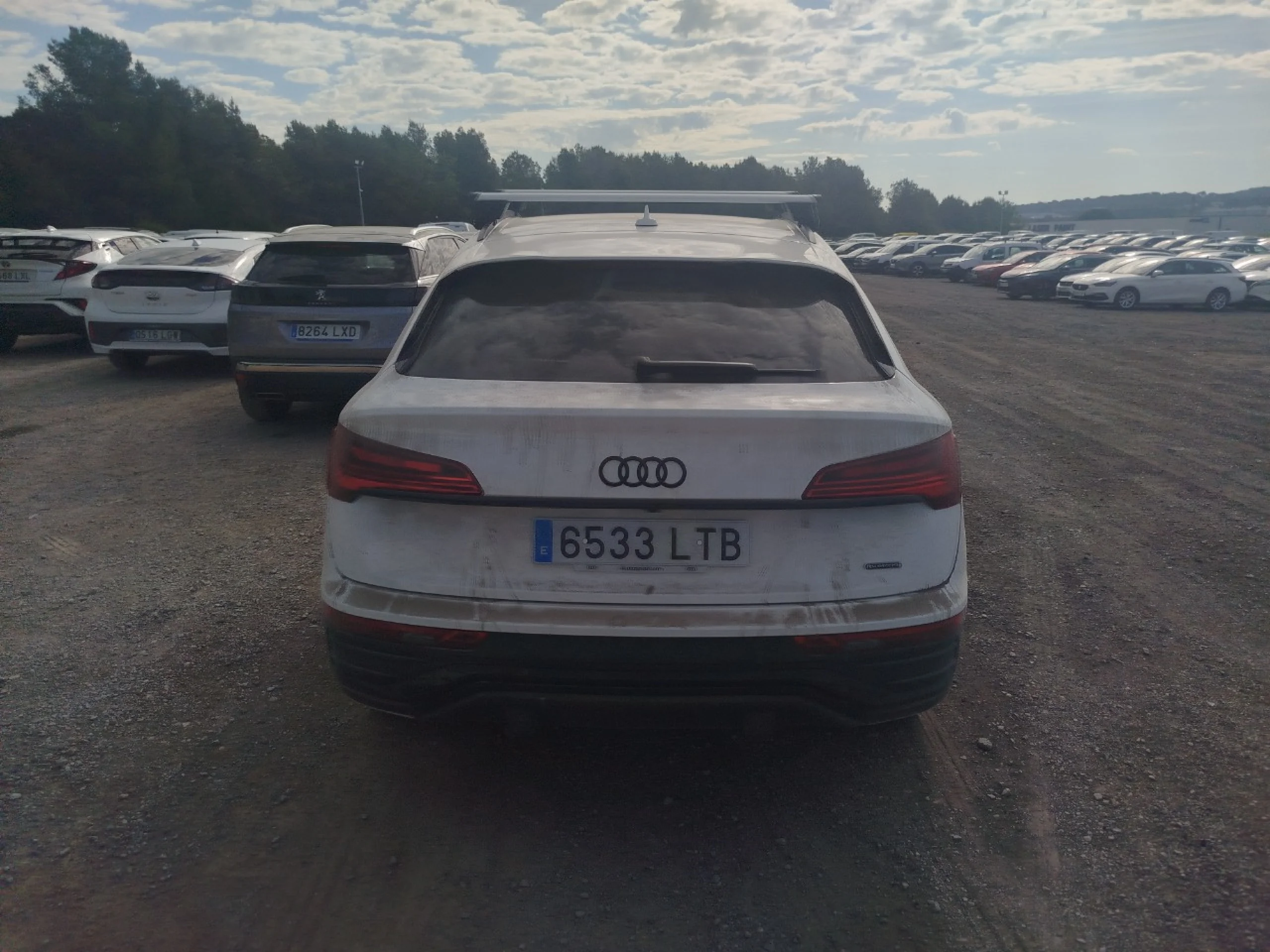 Audi Q5 Black Line 55 TFSI e quattro - Foto 5