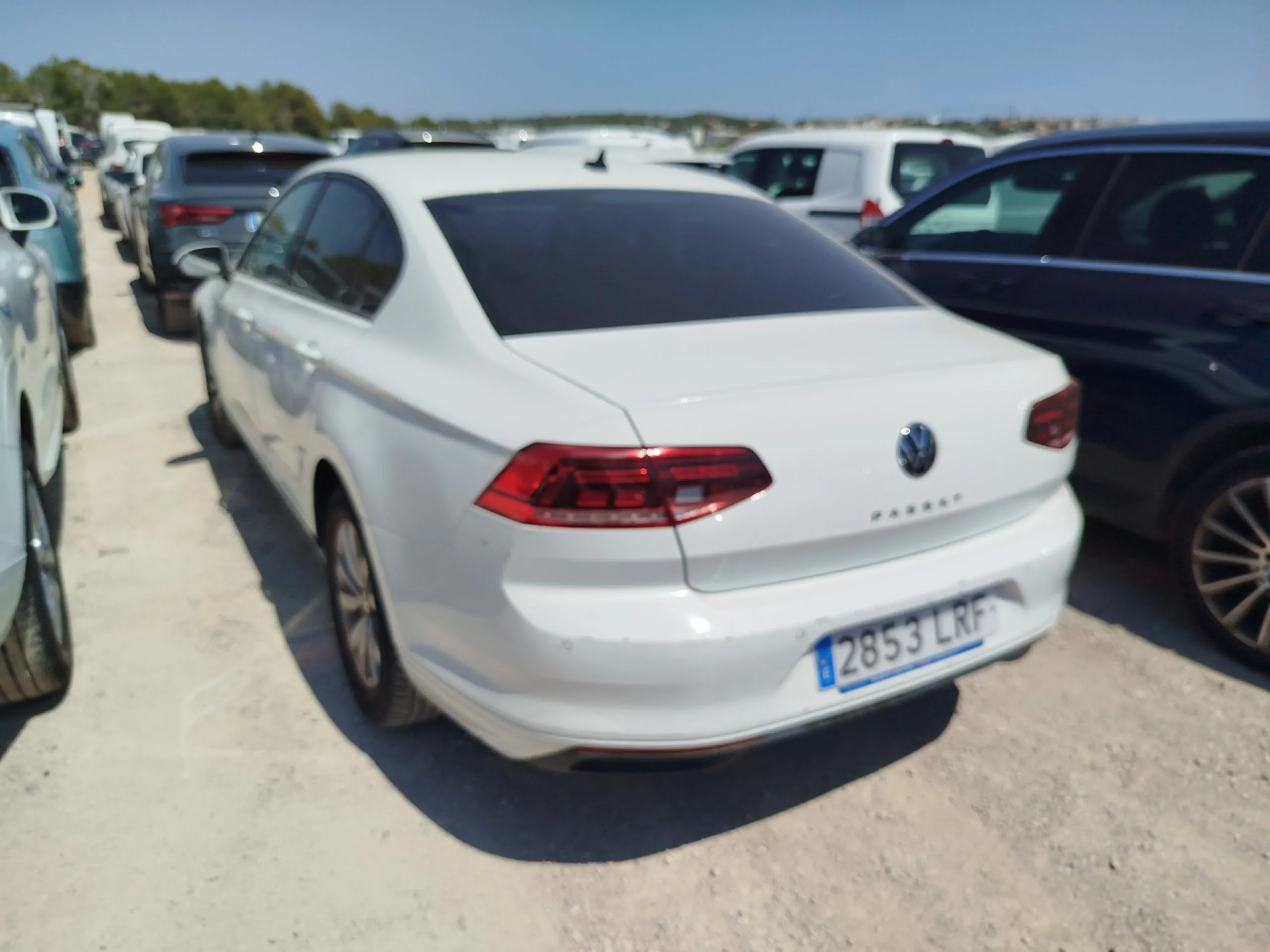 Volkswagen Passat Business 2.0 TDI 90kW (122CV) DSG - Foto 6