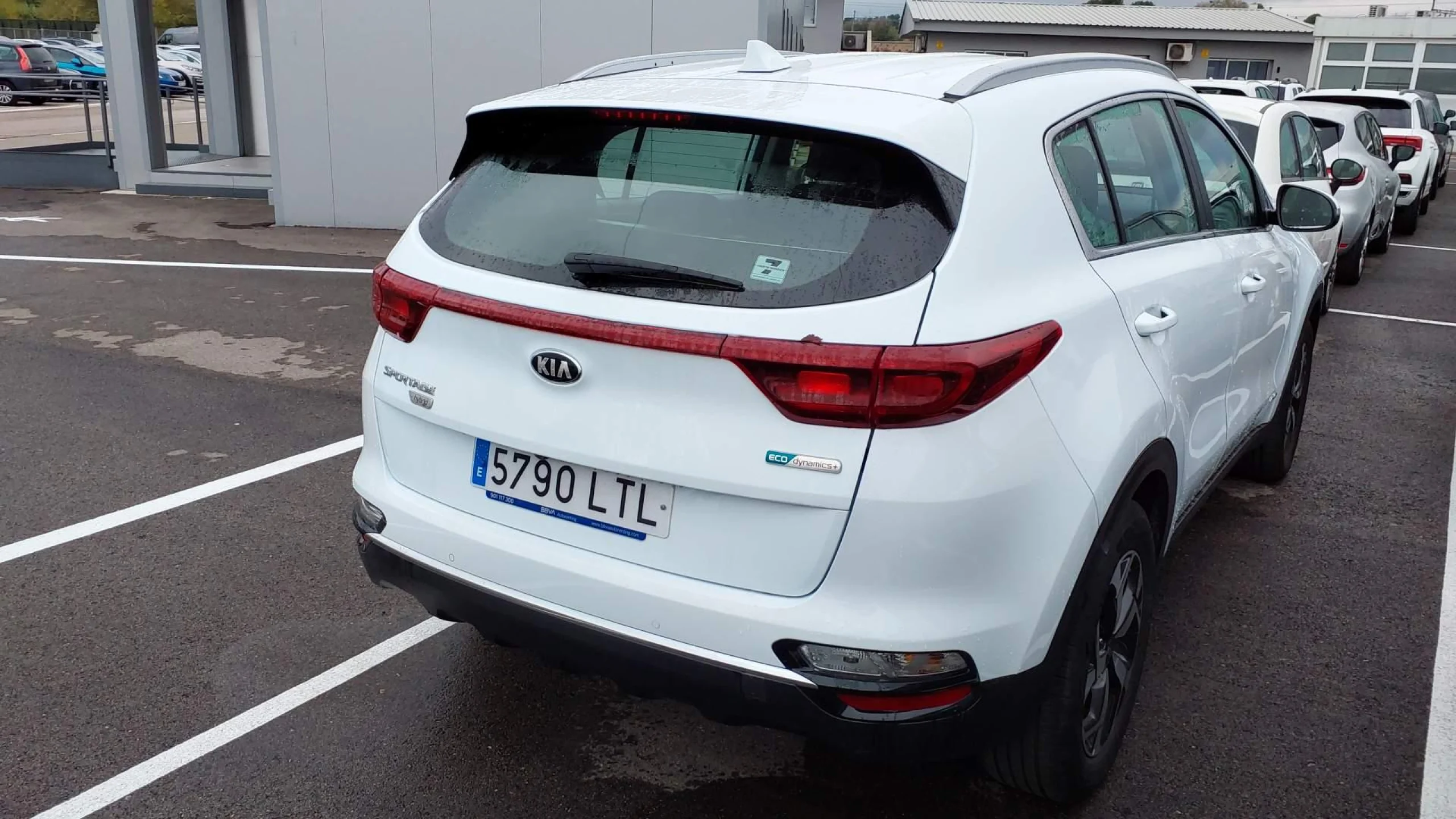 Kia Sportage 1.6 MHEV Business 100kW (136CV) 4x4 - Foto 3
