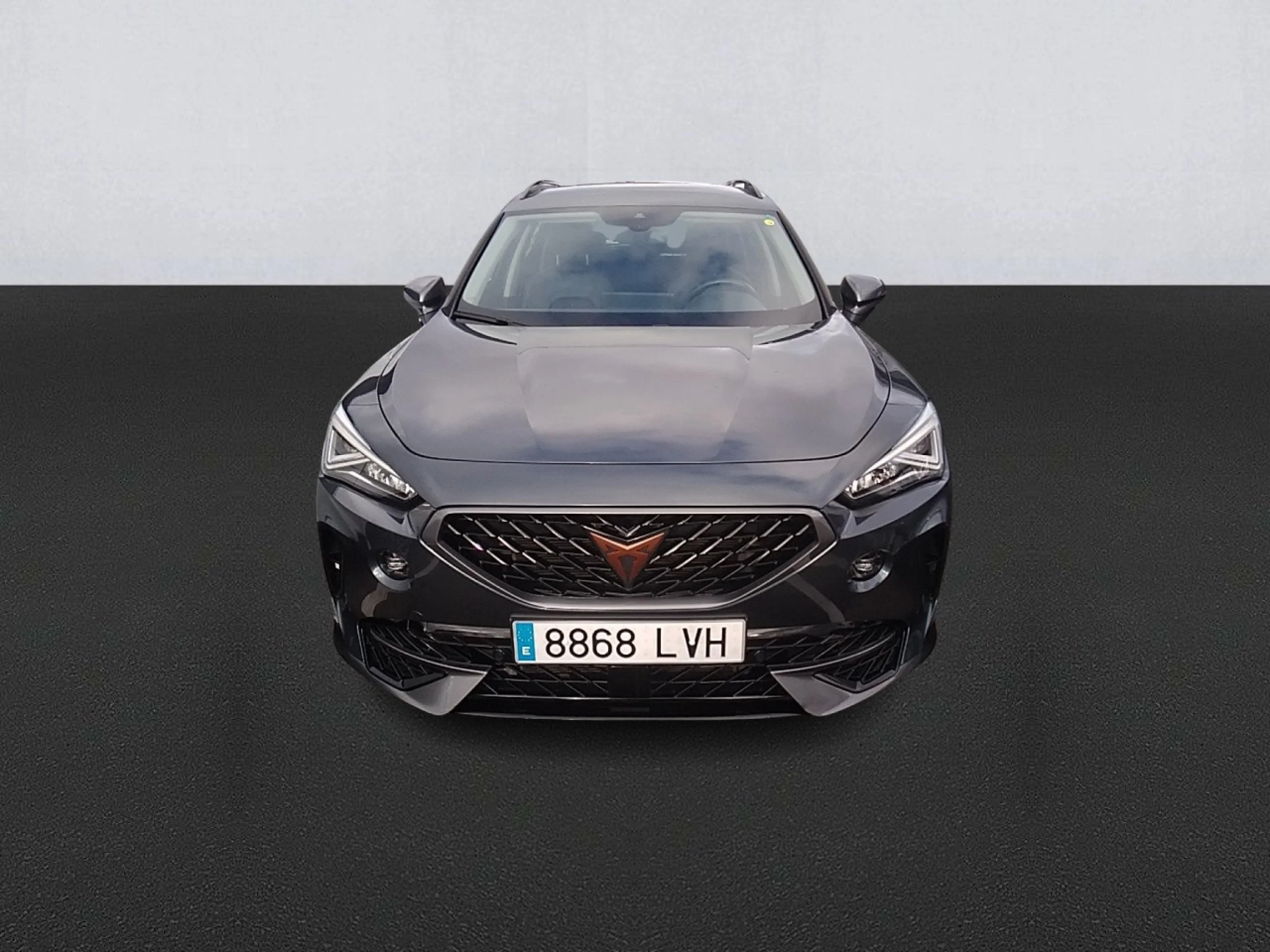 CUPRA Formentor 2.0 TDI 110kW (150 CV) - Foto 2