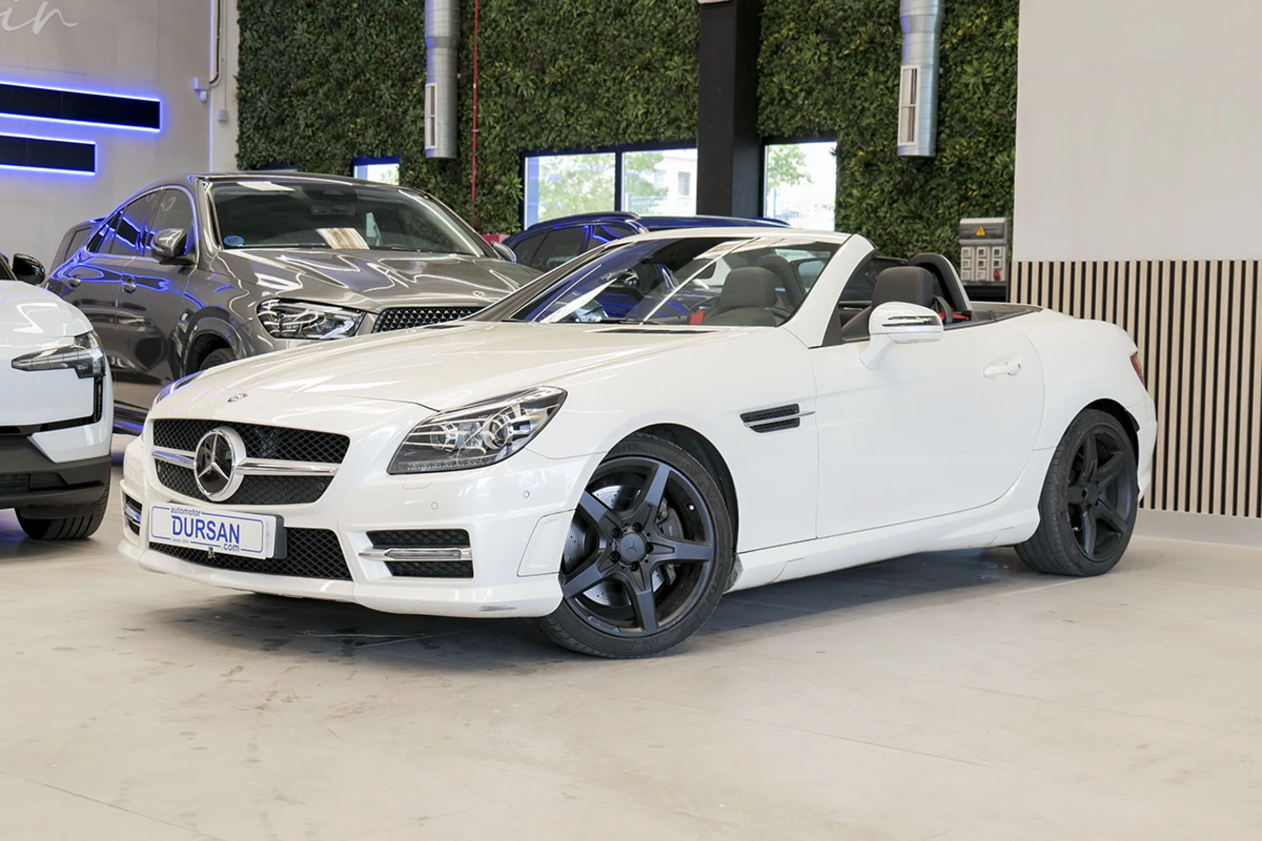 Mercedes-Benz SLK 250 MERCEDES-BENZ Clase SLK SLK 250 CDI - Foto 1