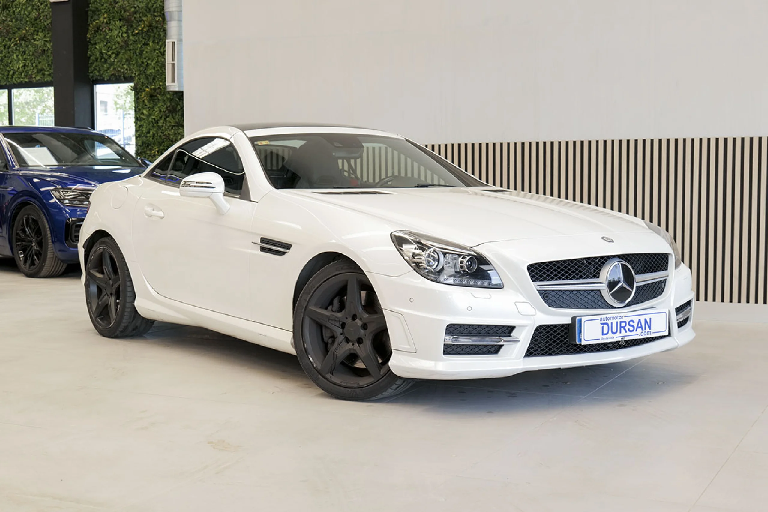 Mercedes-Benz SLK 250 MERCEDES-BENZ Clase SLK SLK 250 CDI - Foto 3