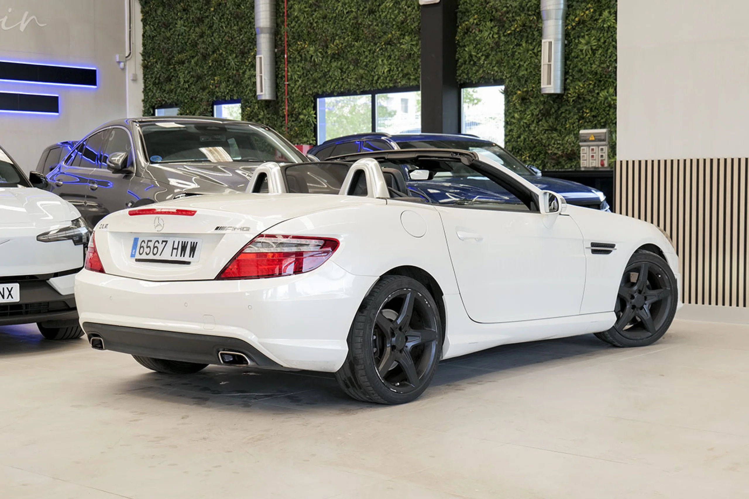 Mercedes-Benz SLK 250 MERCEDES-BENZ Clase SLK SLK 250 CDI - Foto 4