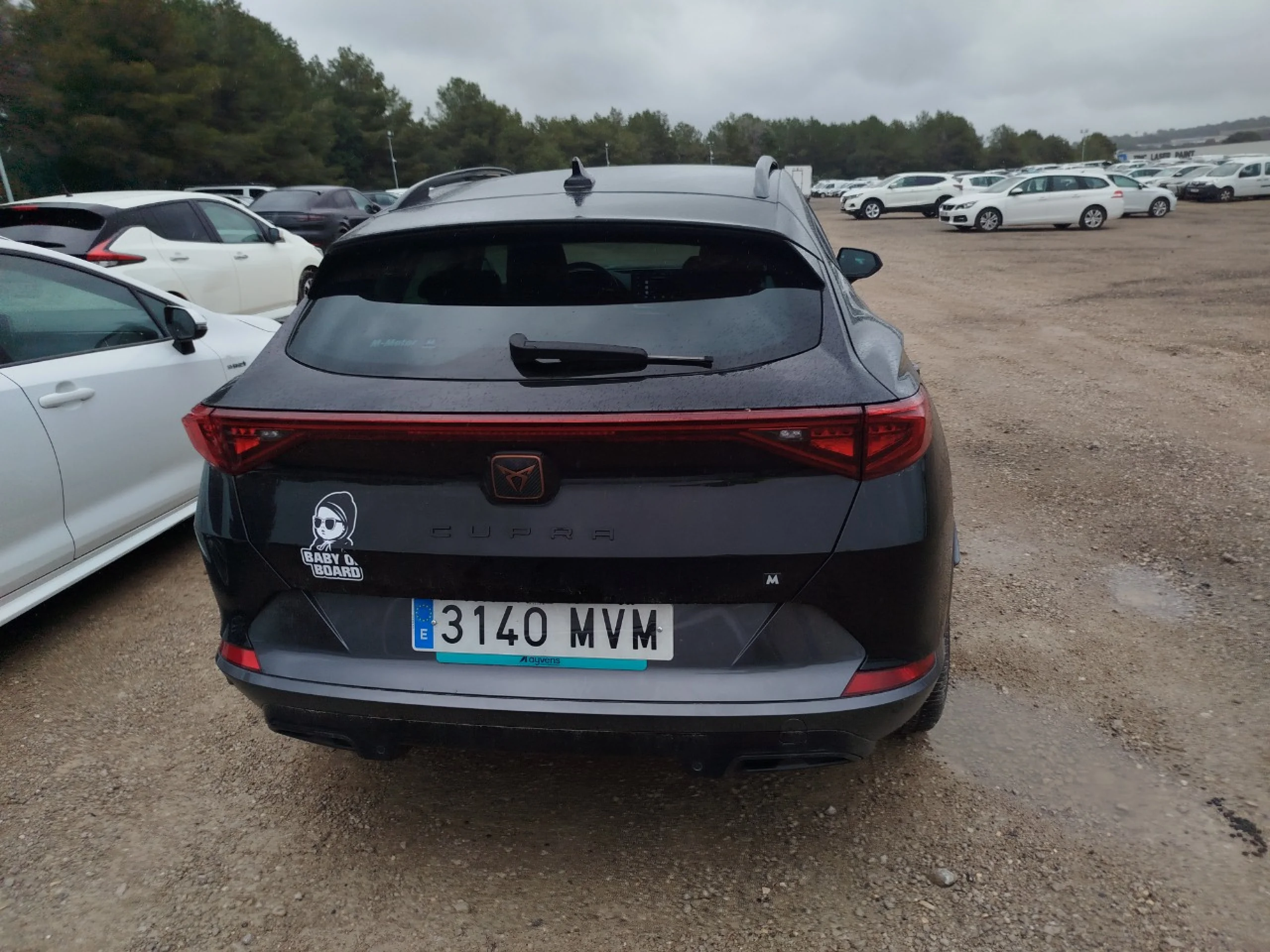CUPRA Formentor 1.5 TSI 110kW (150 CV) DSG - Foto 5