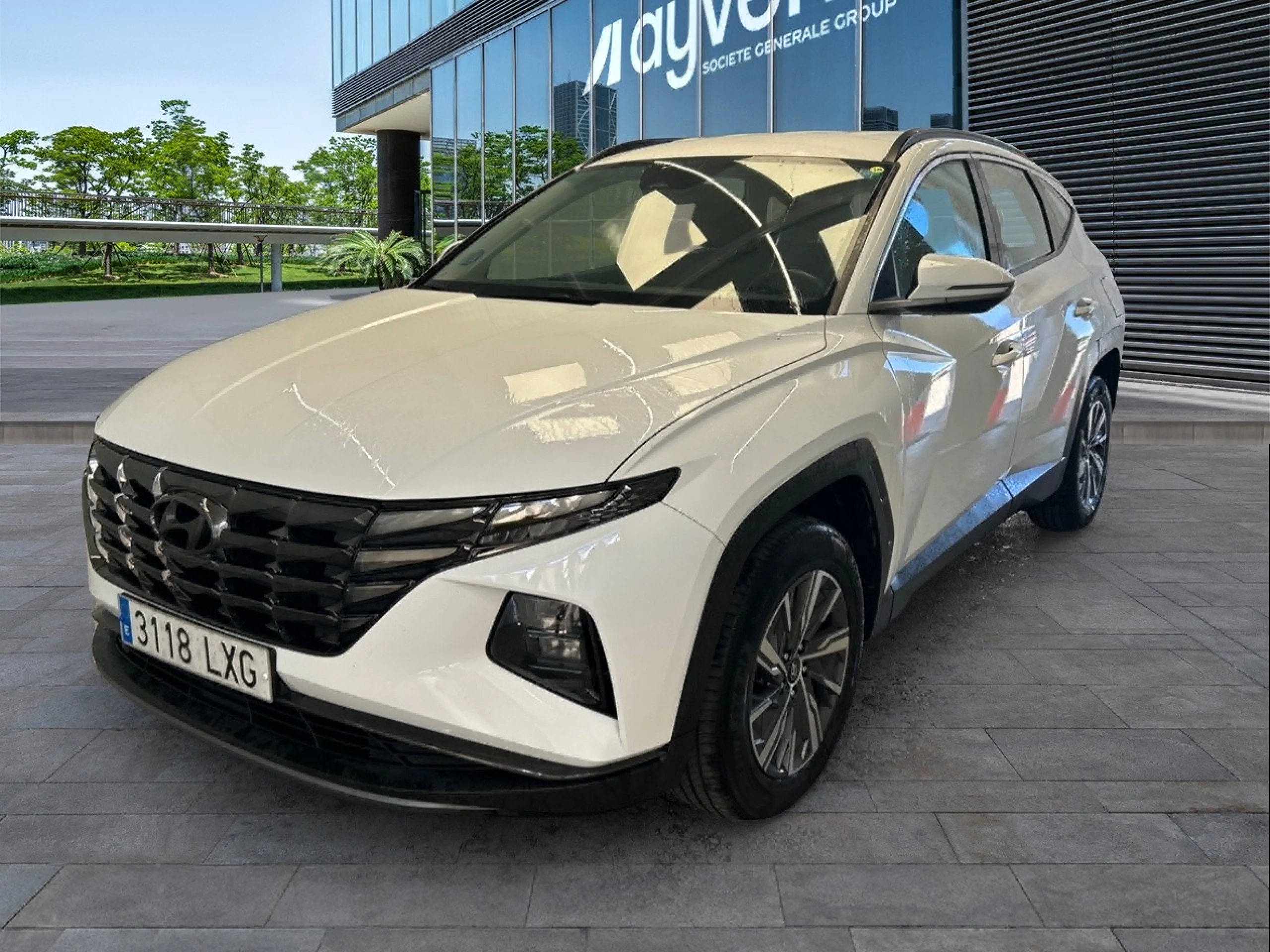 Hyundai Tucson 1.6 TGDI 169kW (230CV) HEV Maxx Auto - Foto 1