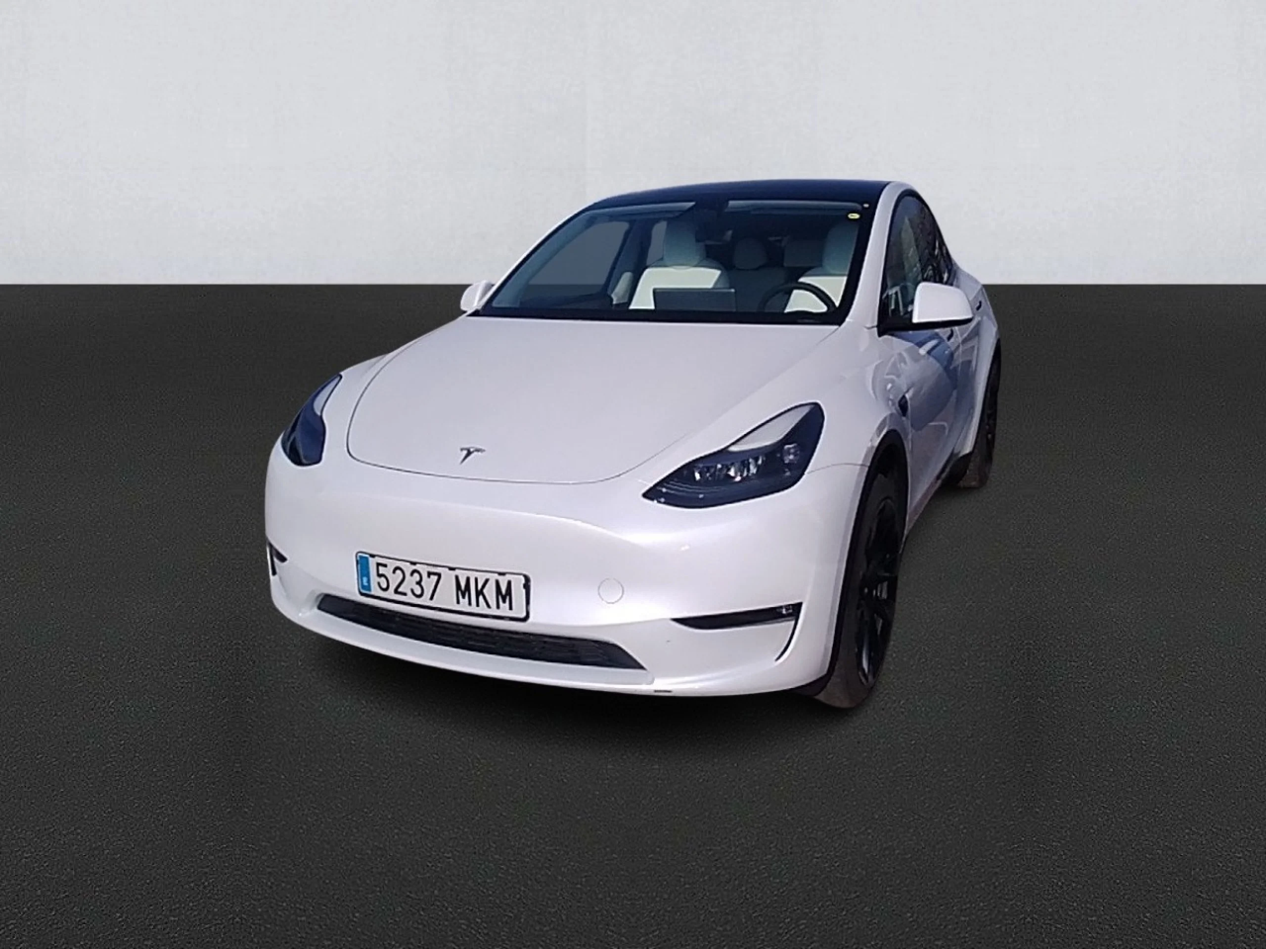 TESLA Model Y Gran Autonomía 4WD - Foto 1