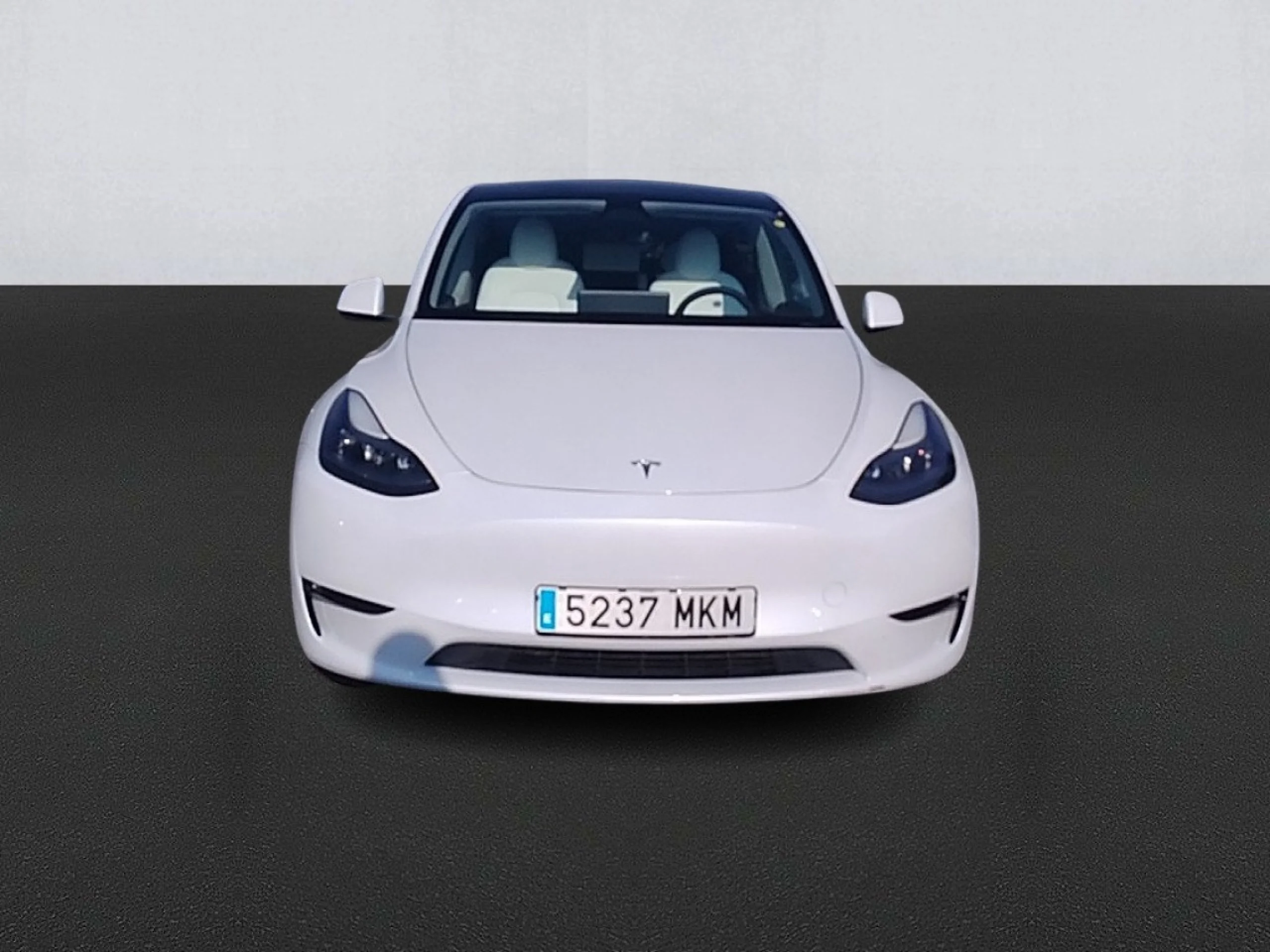 TESLA Model Y Gran Autonomía 4WD - Foto 2