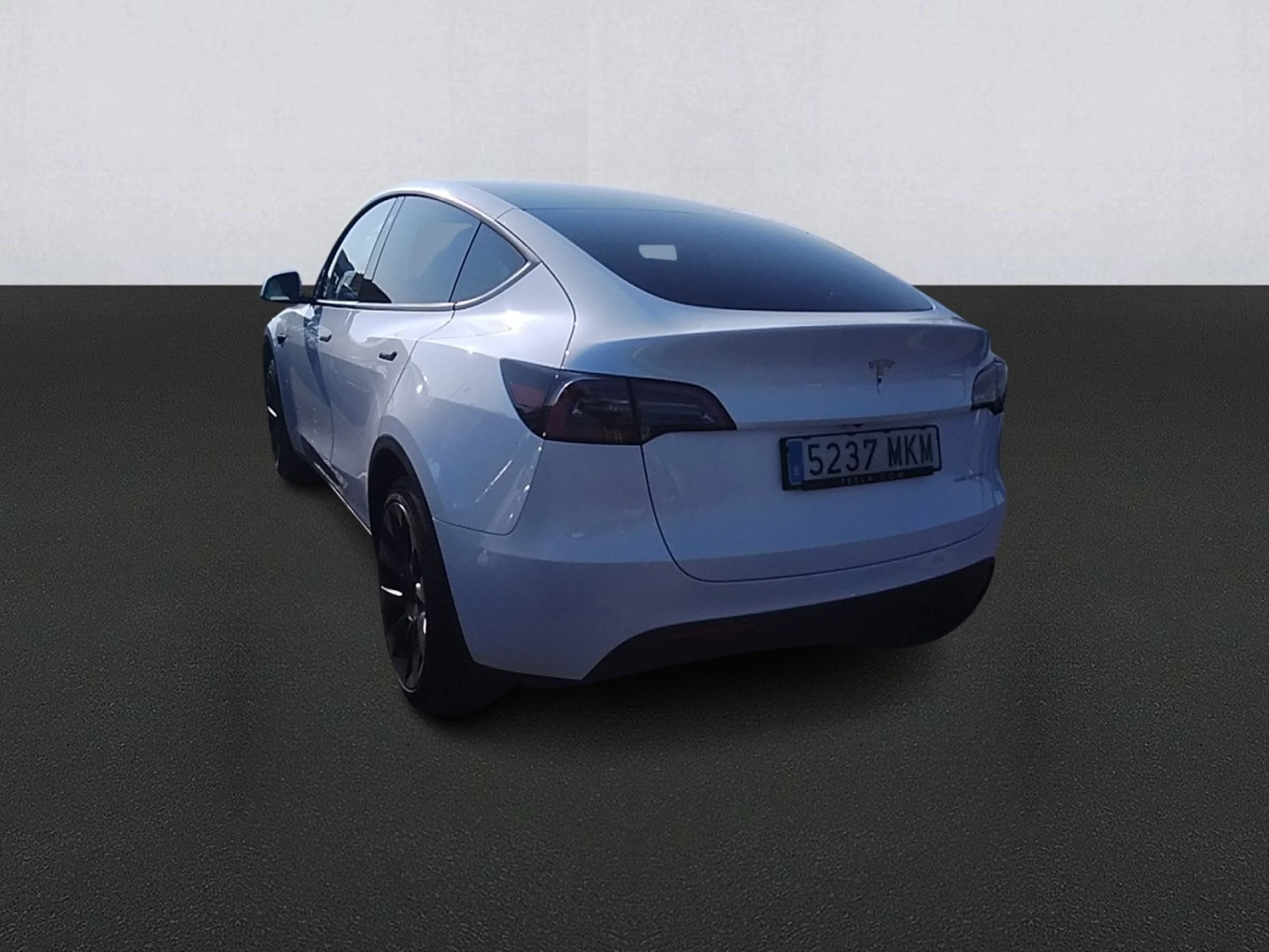 TESLA Model Y Gran Autonomía 4WD - Foto 6