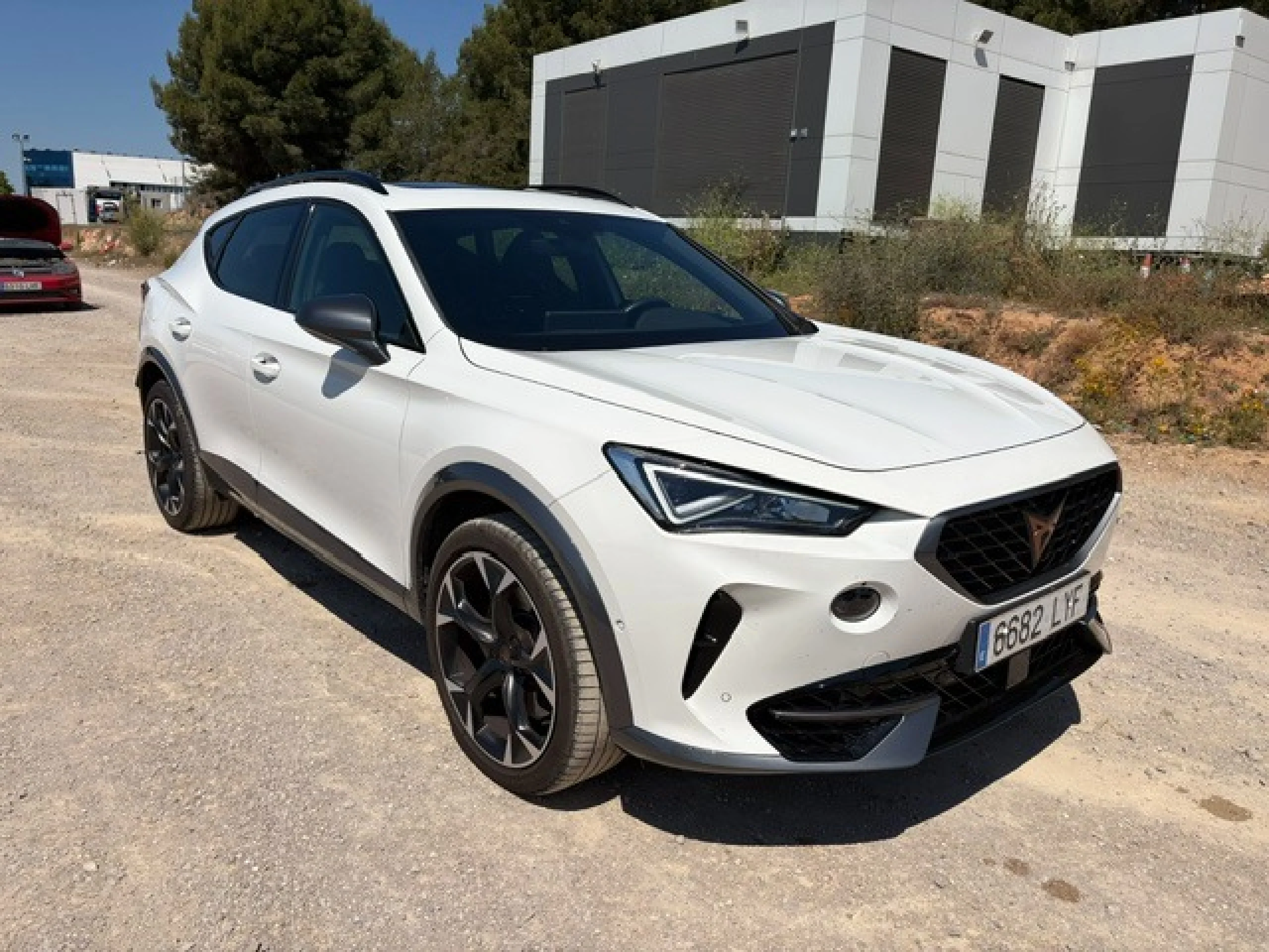 CUPRA Formentor 2.0 TSI 228kW (310 CV) VZ 4Drive DSG - Foto 3