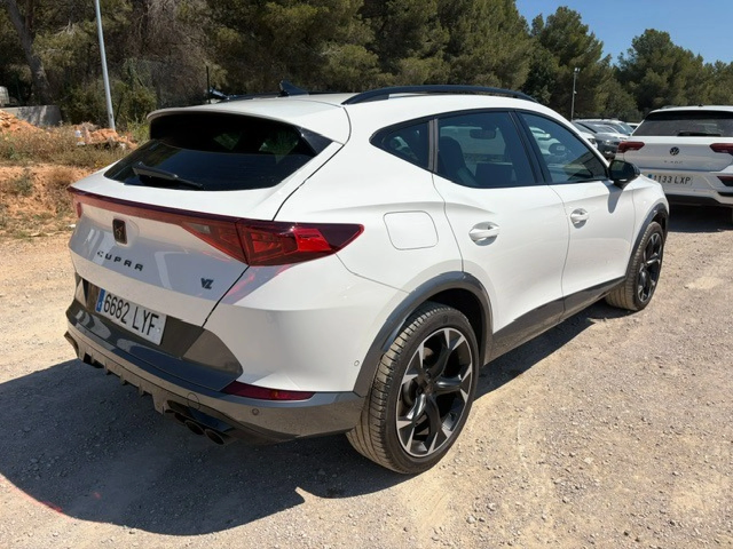CUPRA Formentor 2.0 TSI 228kW (310 CV) VZ 4Drive DSG - Foto 4
