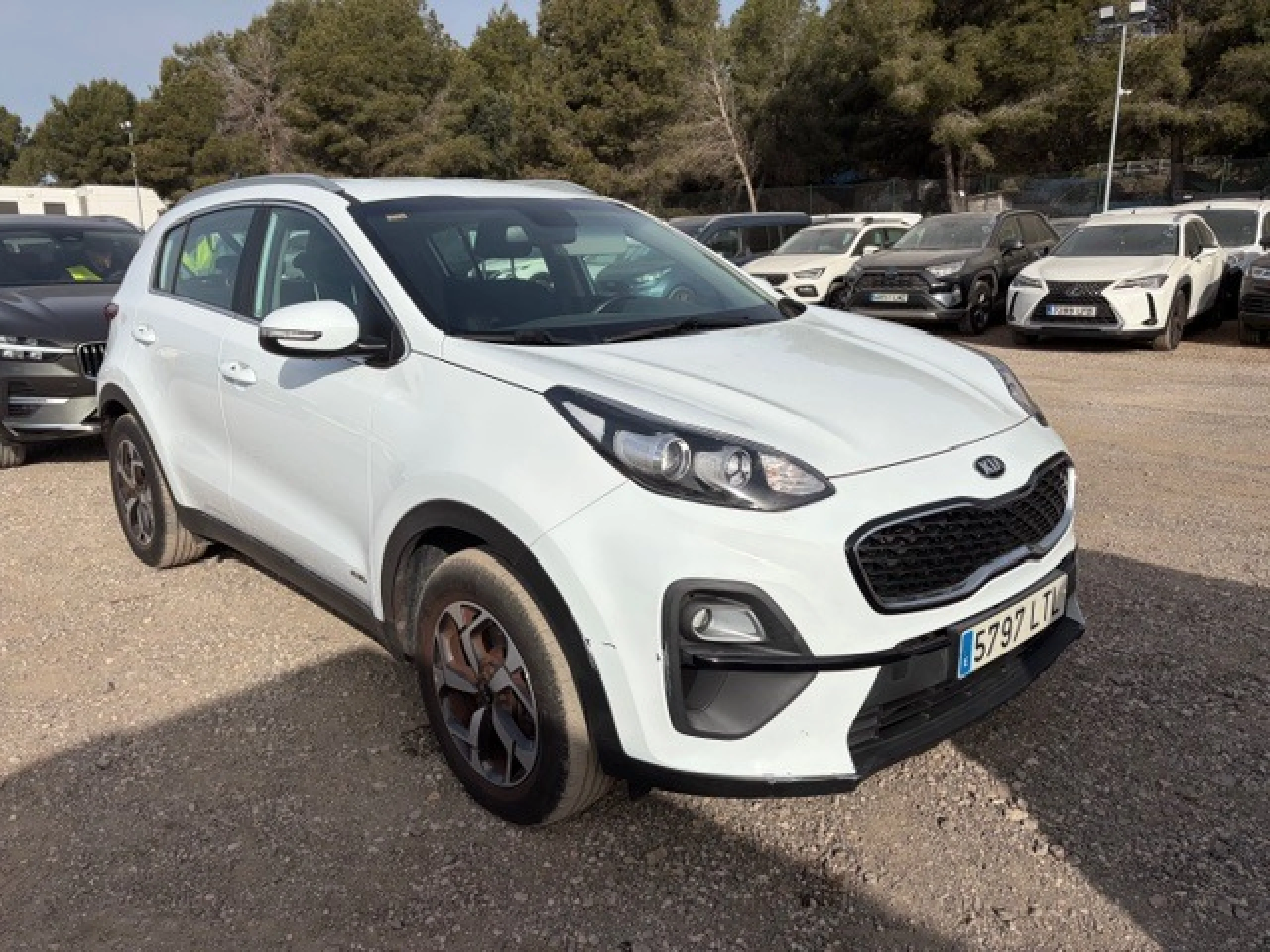 Kia Sportage 1.6 MHEV Business 100kW (136CV) 4x4 - Foto 3