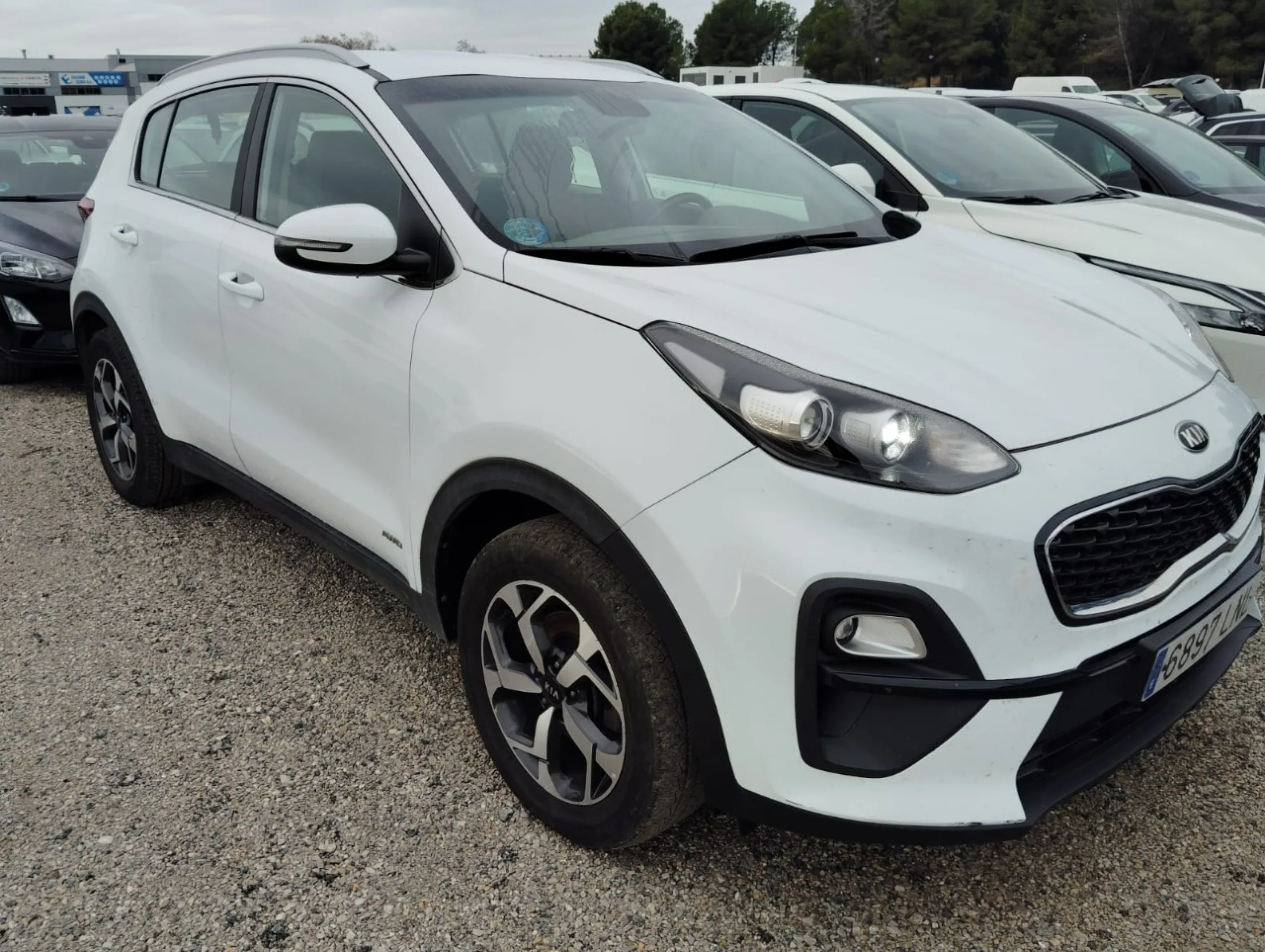 Kia Sportage 1.6 MHEV Business 100kW (136CV) 4x4 - Foto 3