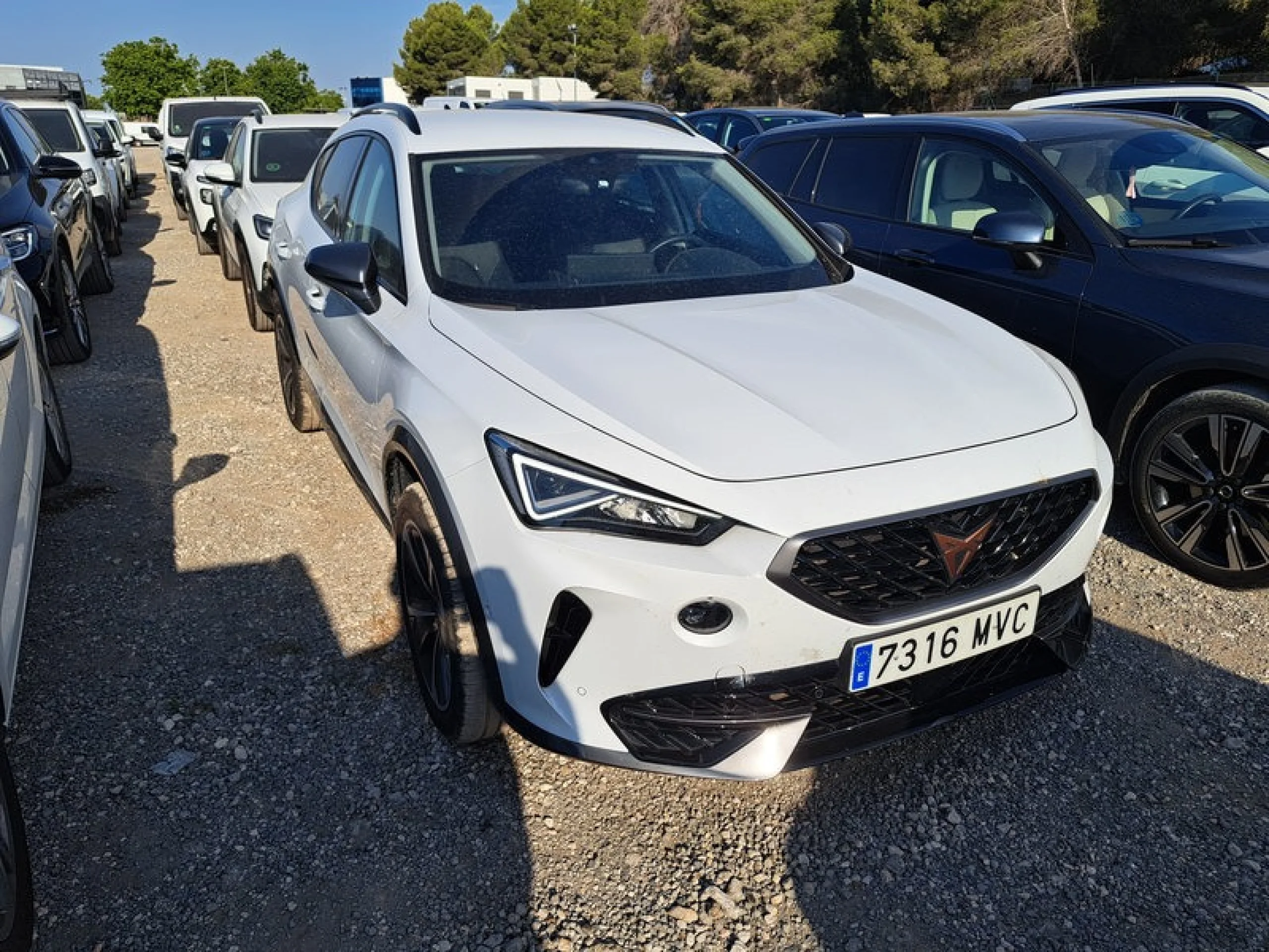 CUPRA Formentor 1.5 TSI 110kW (150 CV) DSG - Foto 3