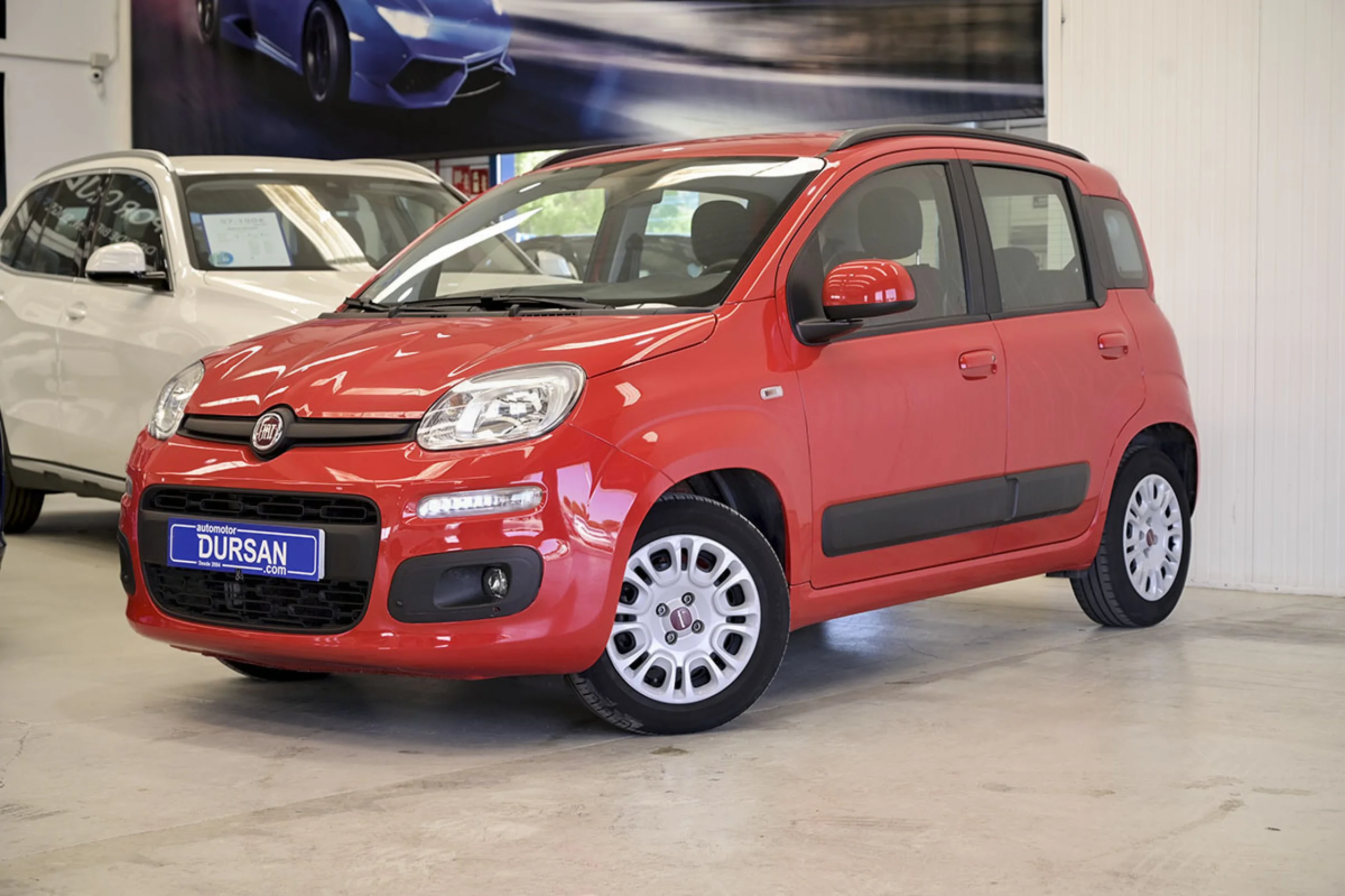 Fiat Panda 1.2 Easy 51kW 69CV Gasol.GLP - Foto 1