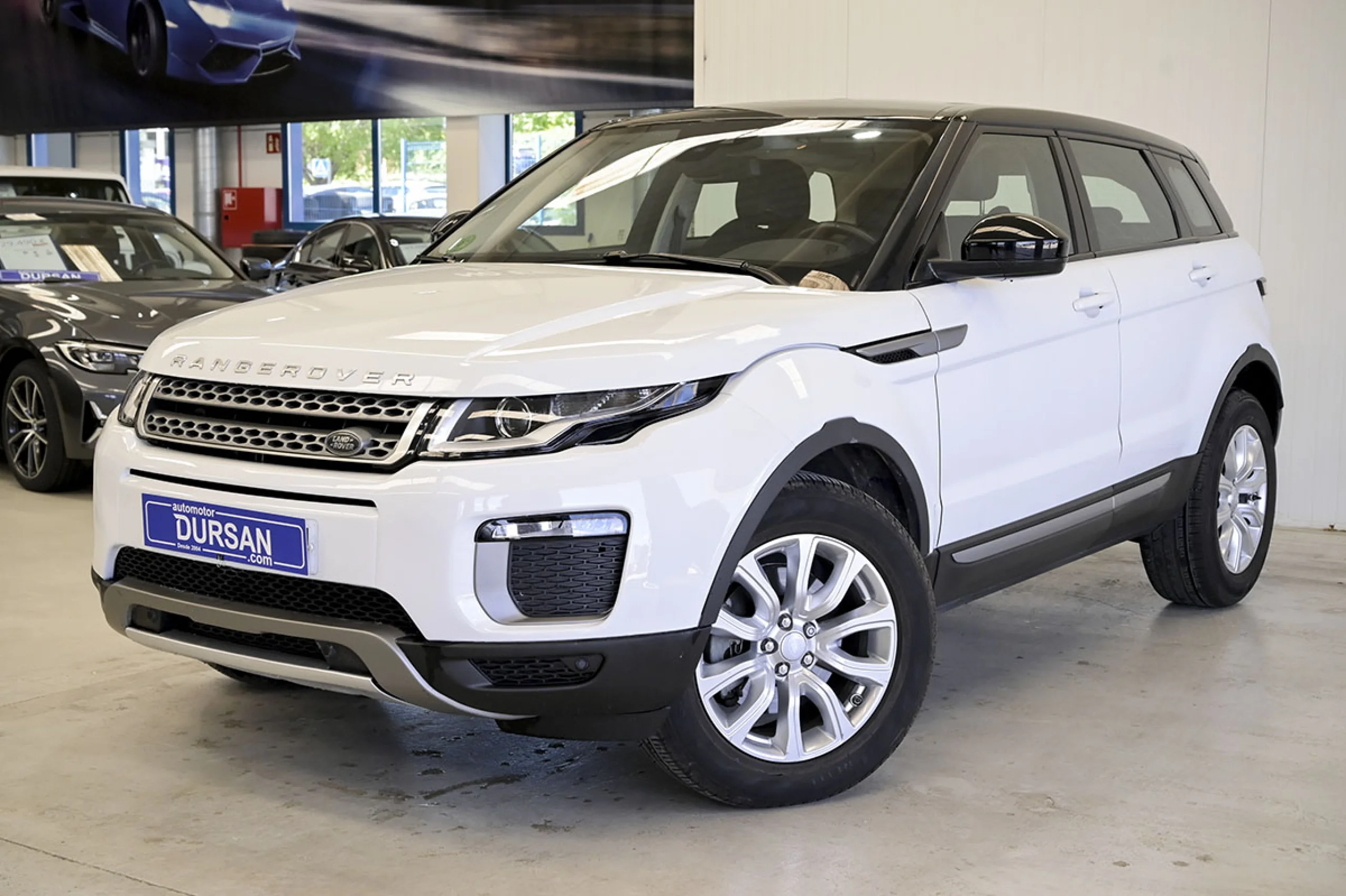 Land Rover Range Rover Evoque 2.2L TD4 150CV 4x4 Pure - Foto 1