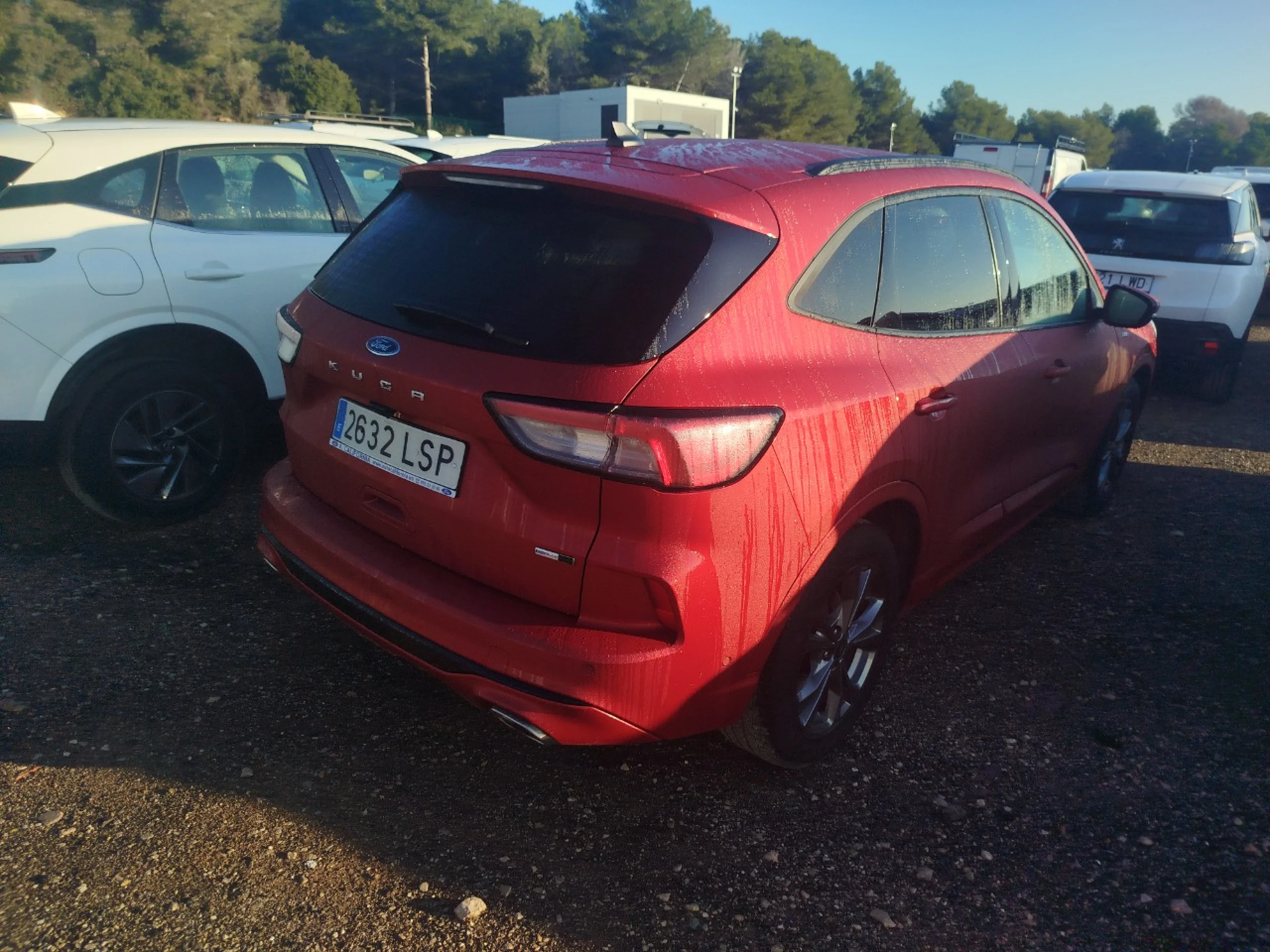 Ford Kuga ST-Line X 2.0 EcoBlue MHEV 110kW (150CV) - Foto 4
