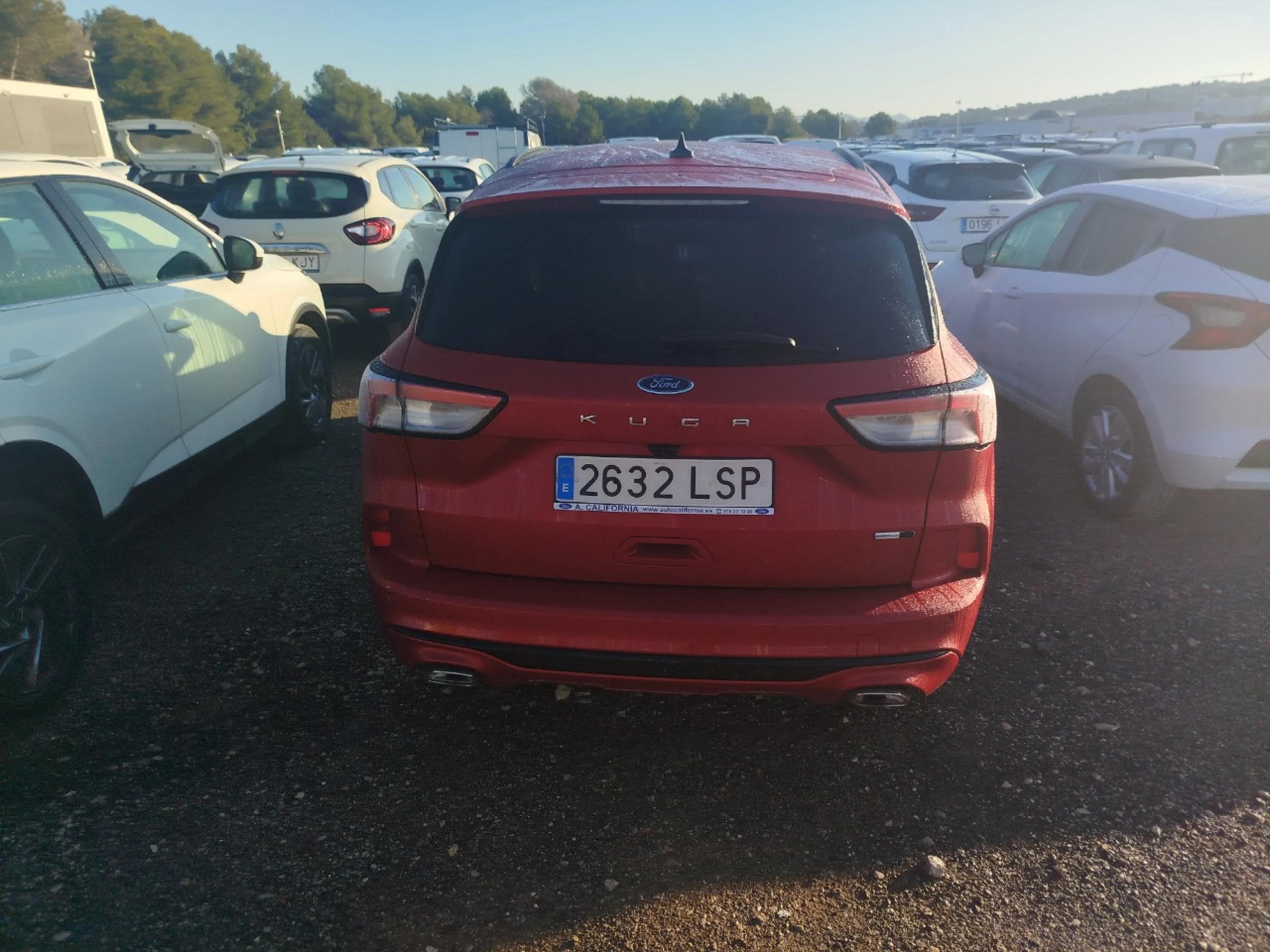 Ford Kuga ST-Line X 2.0 EcoBlue MHEV 110kW (150CV) - Foto 5