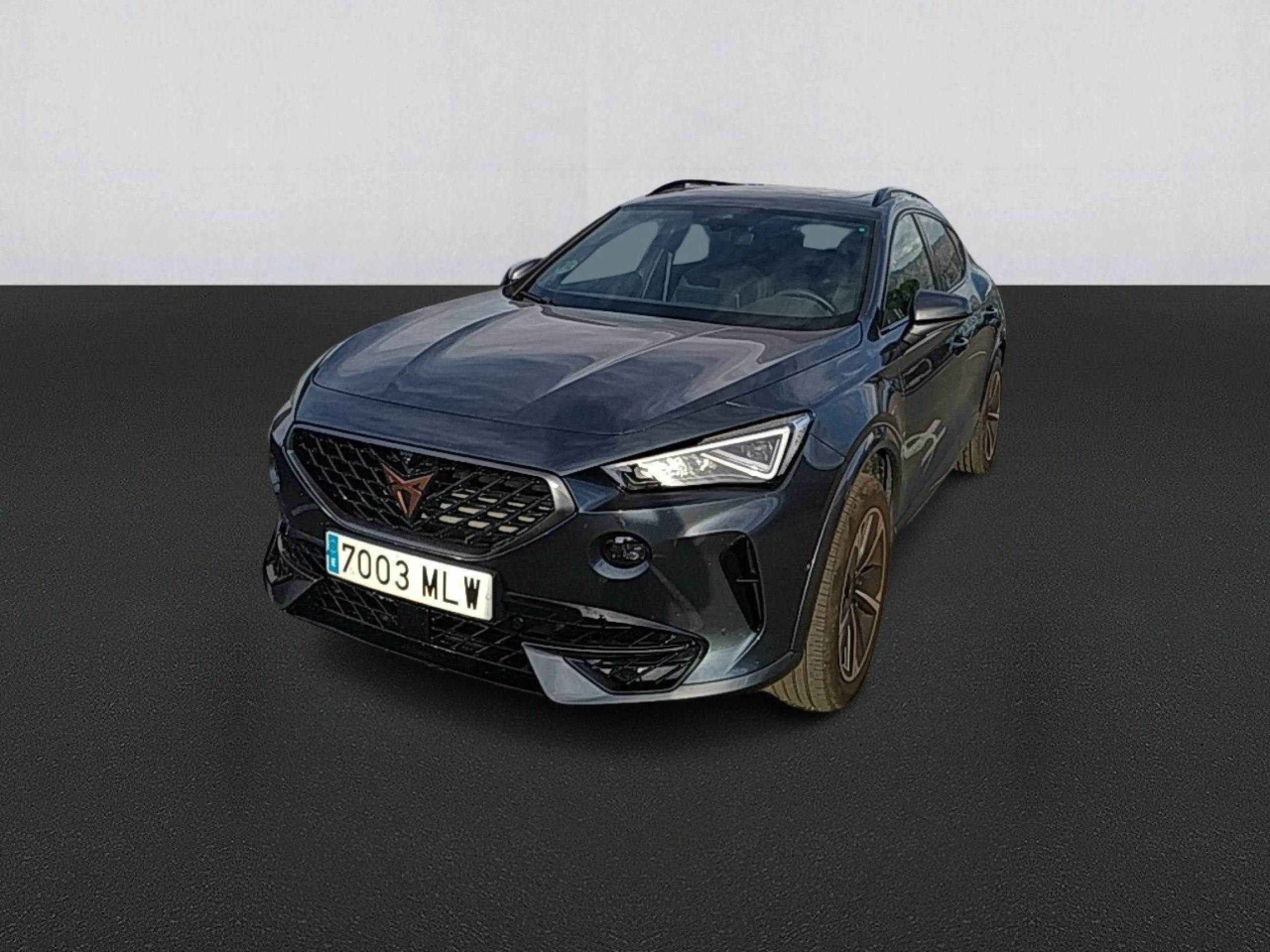 CUPRA Formentor 1.5 TSI 110kW (150 CV) DSG - Foto 1