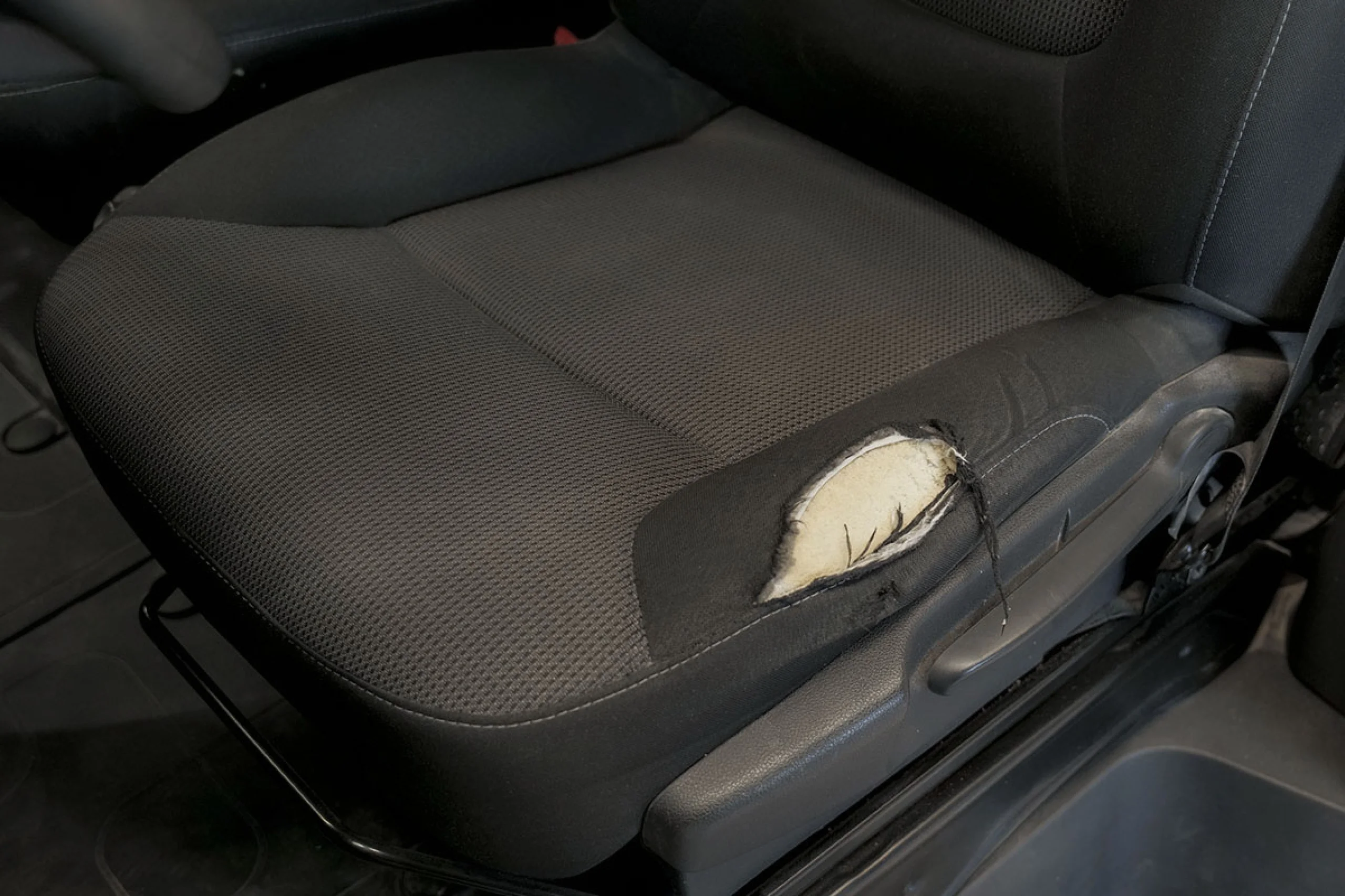 Renault Trafic Furgon 29 L2H1 Energy BluedCi 88 kW - Foto 28