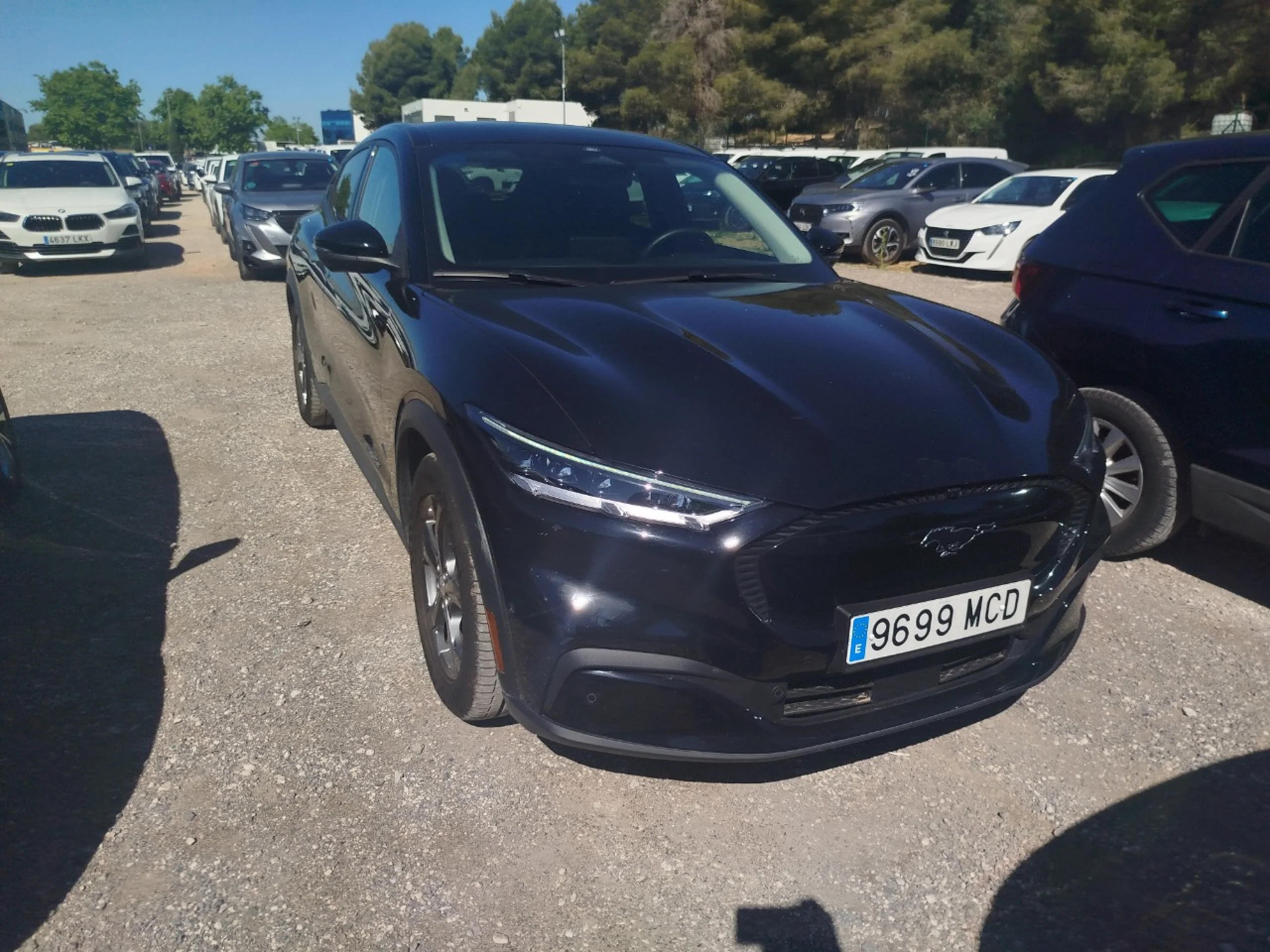 Ford MUSTANG MACH-E 198kW Batería 75.7Kwh - Foto 3
