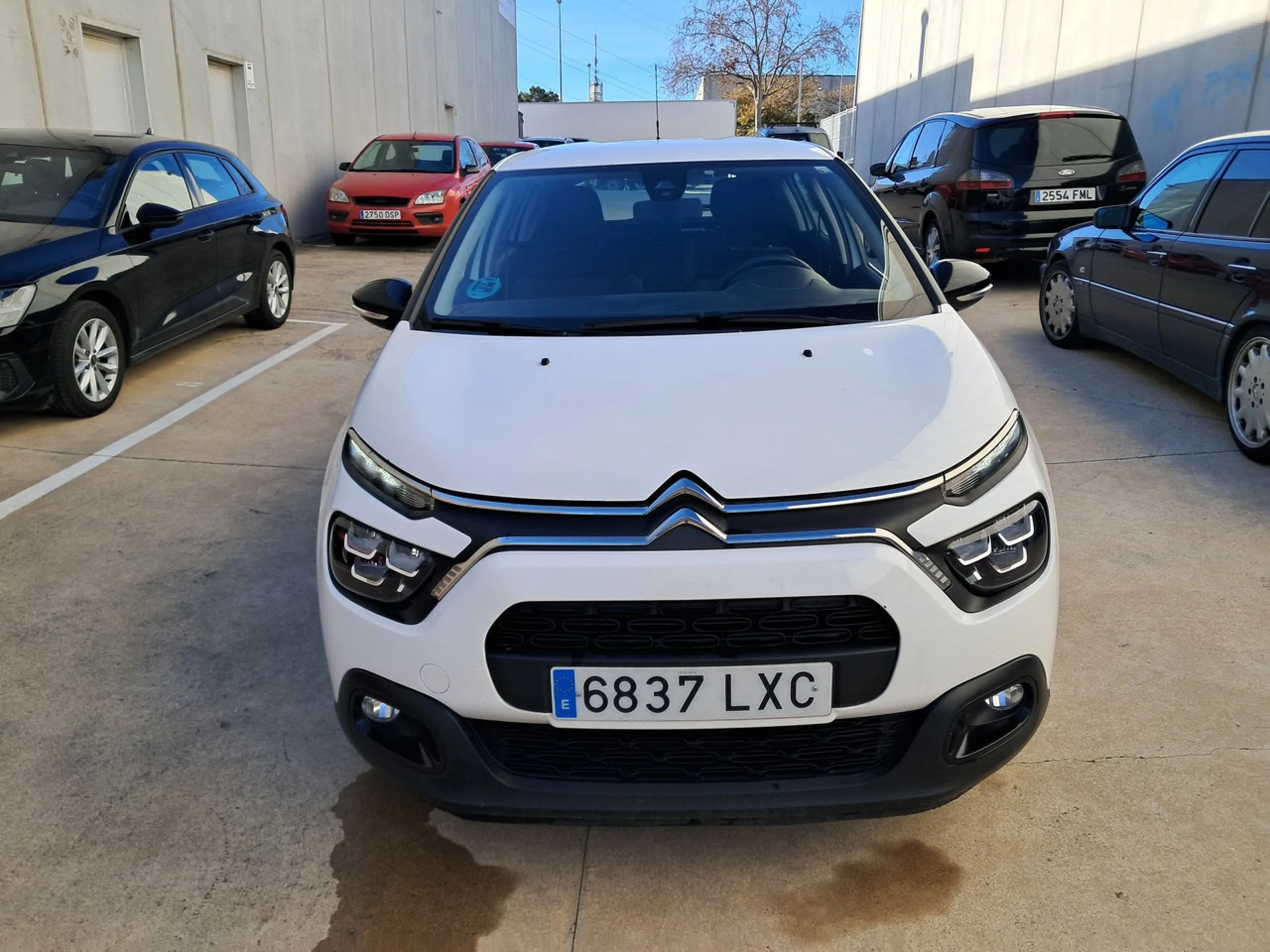 Citroen C3 BlueHDi 75KW (100CV) S&amp;S Feel - Foto 2