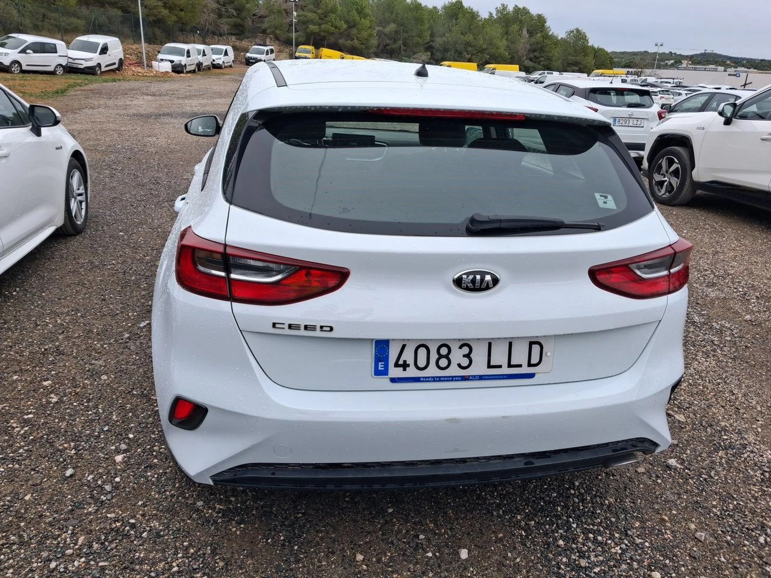 Kia Ceed 1.0 T-GDi 88kW (120CV) Concept - Foto 5
