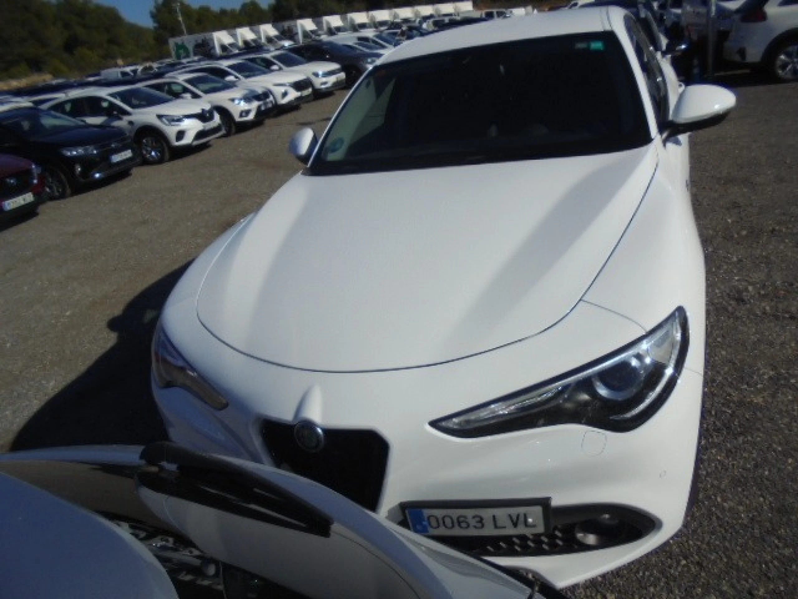 Alfa Romeo Stelvio (O) 2.2 Diésel 140kW (190CV) Sprint+ Q4 - Foto 2