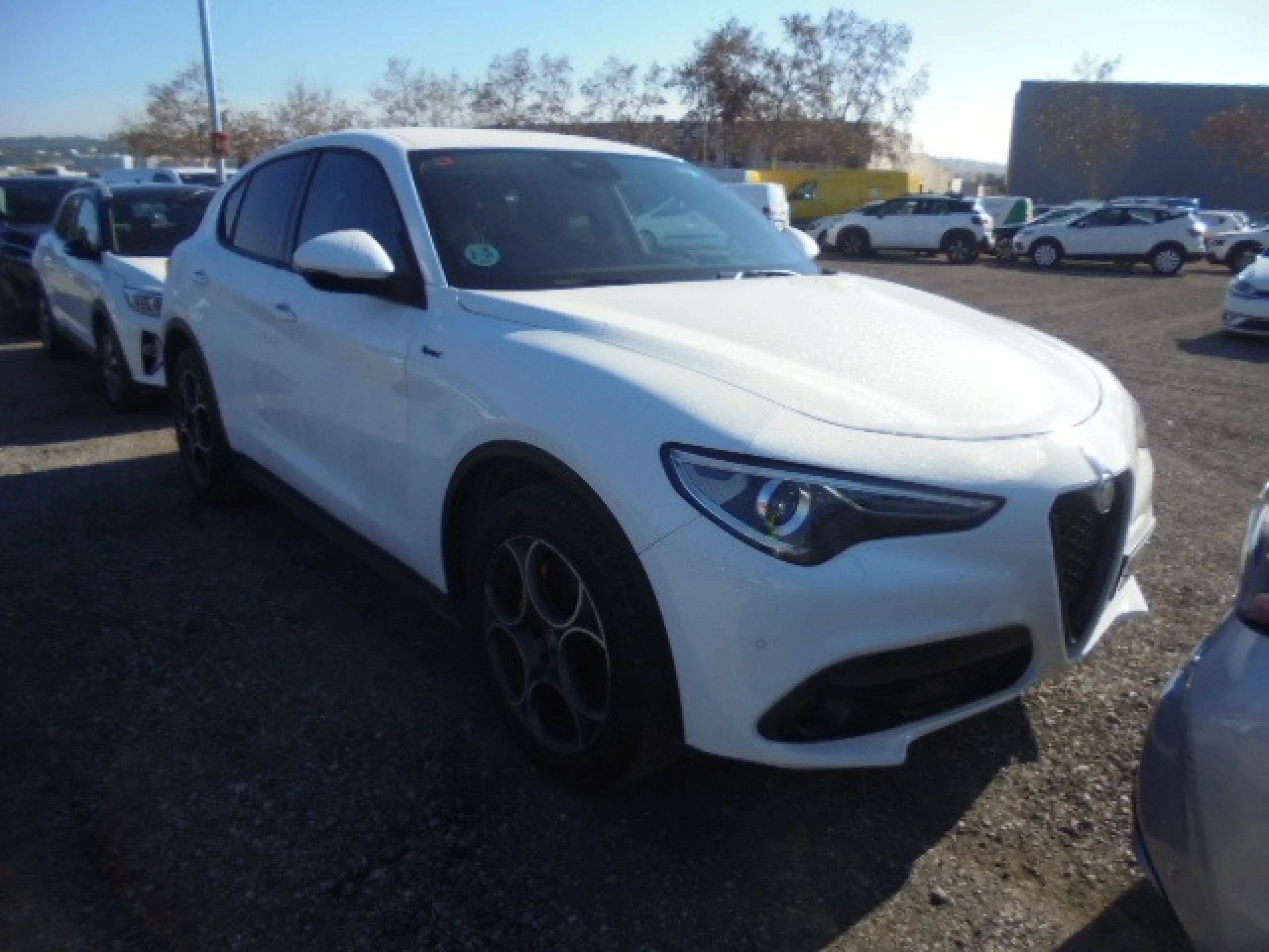 Alfa Romeo Stelvio (O) 2.2 Diésel 140kW (190CV) Sprint+ Q4 - Foto 3