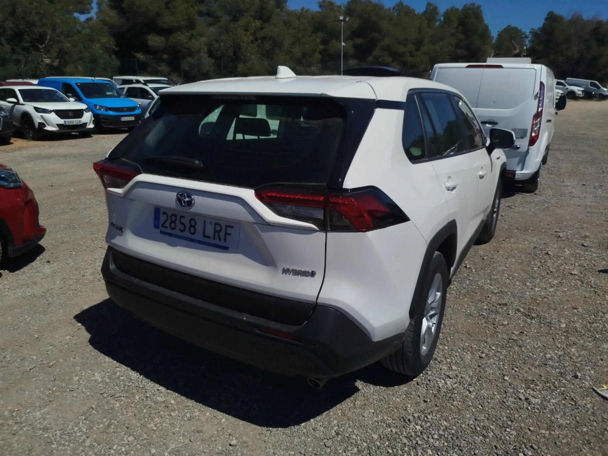 Toyota RAV 4 RAV4 2.5l 220H Business - Foto 4