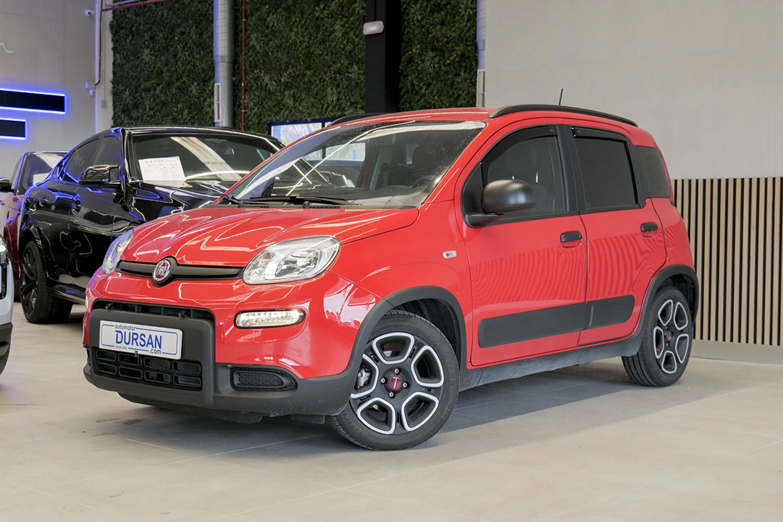 Fiat Panda Panda Hybrid 1.0 51kw 70CV - Foto 1