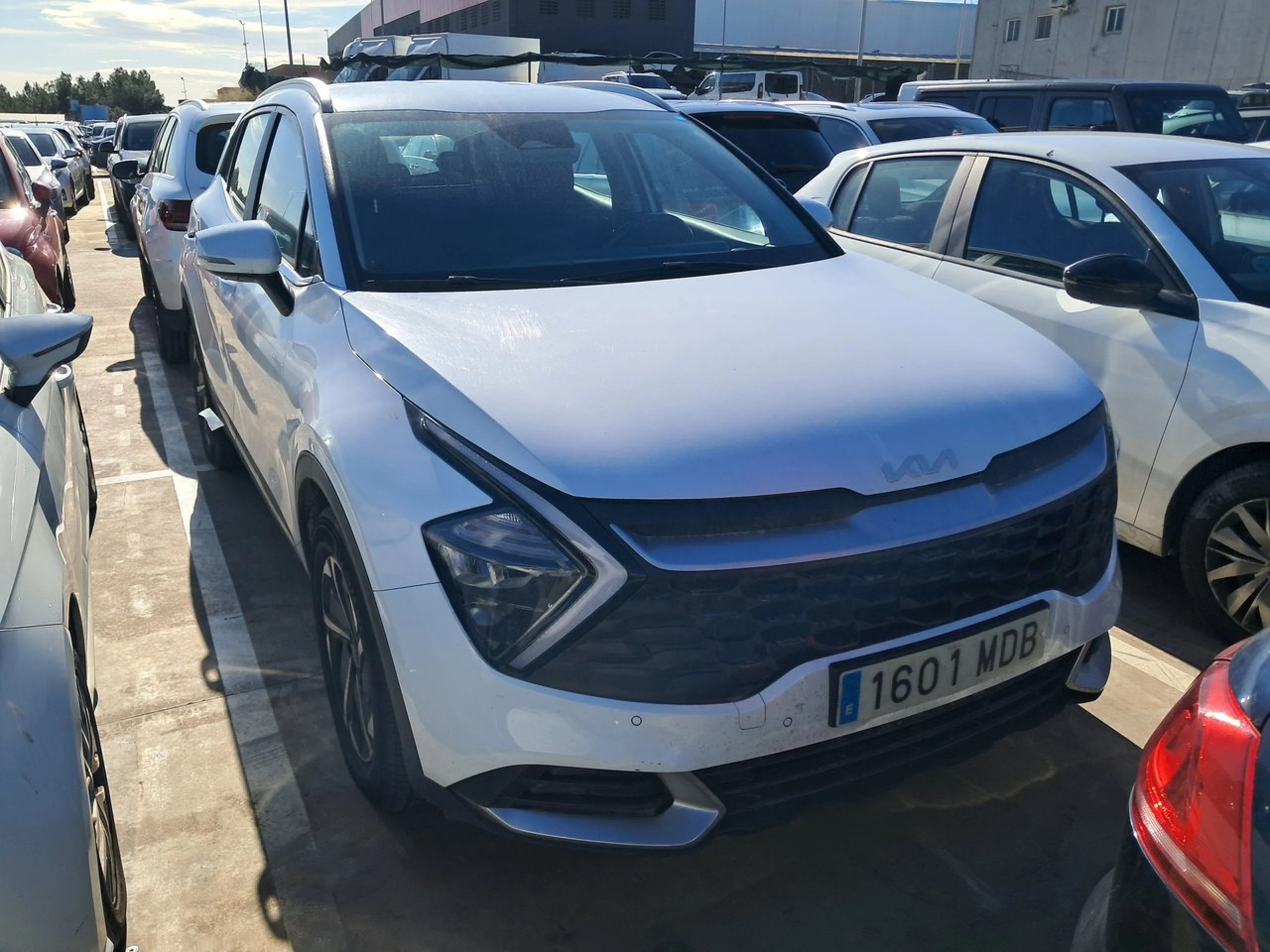 Kia Sportage 1.6 T-GDi MHEV 110kW (150CV) Drive 4x2 - Foto 3