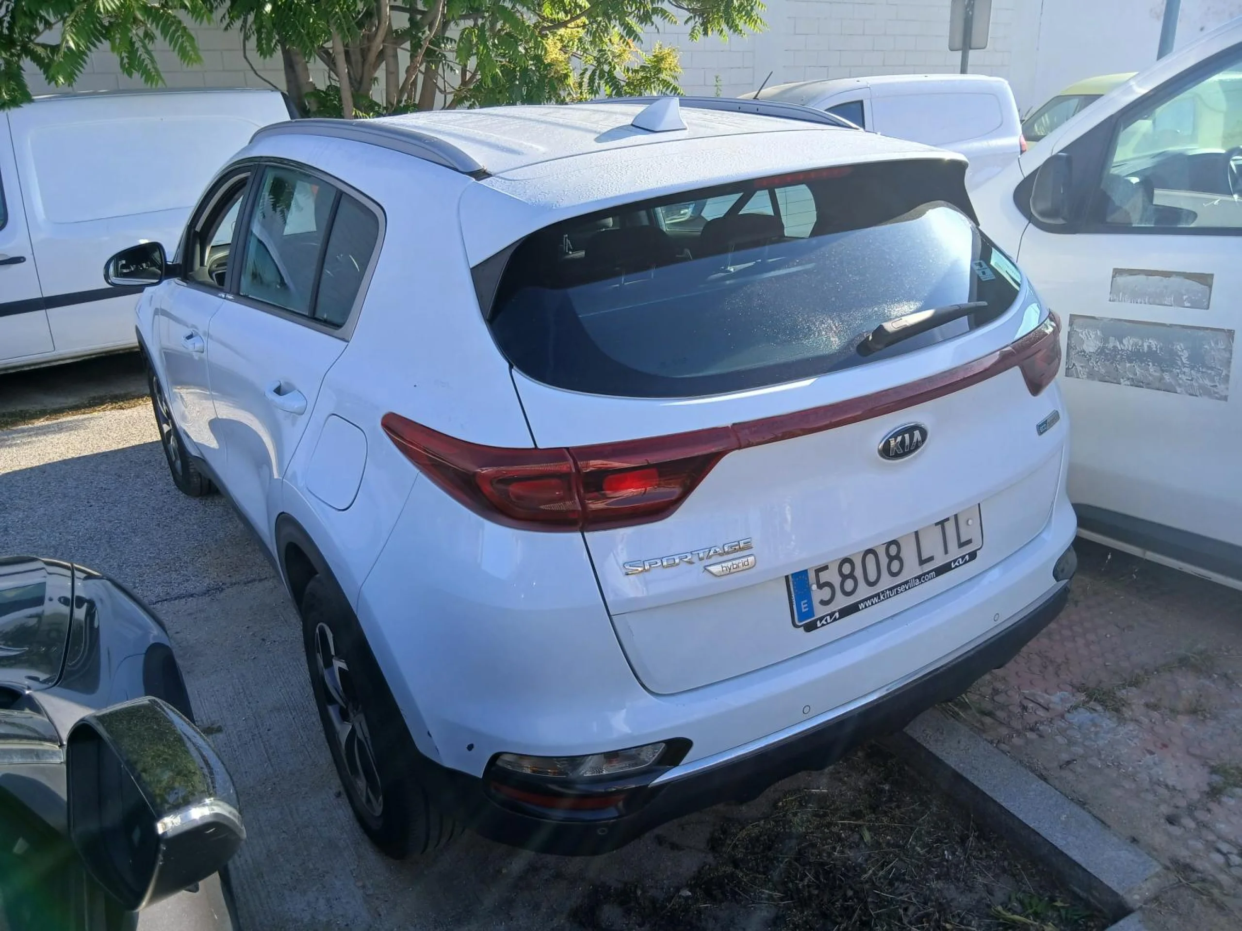 Kia Sportage 1.6 MHEV Business 100kW (136CV) 4x4 - Foto 2