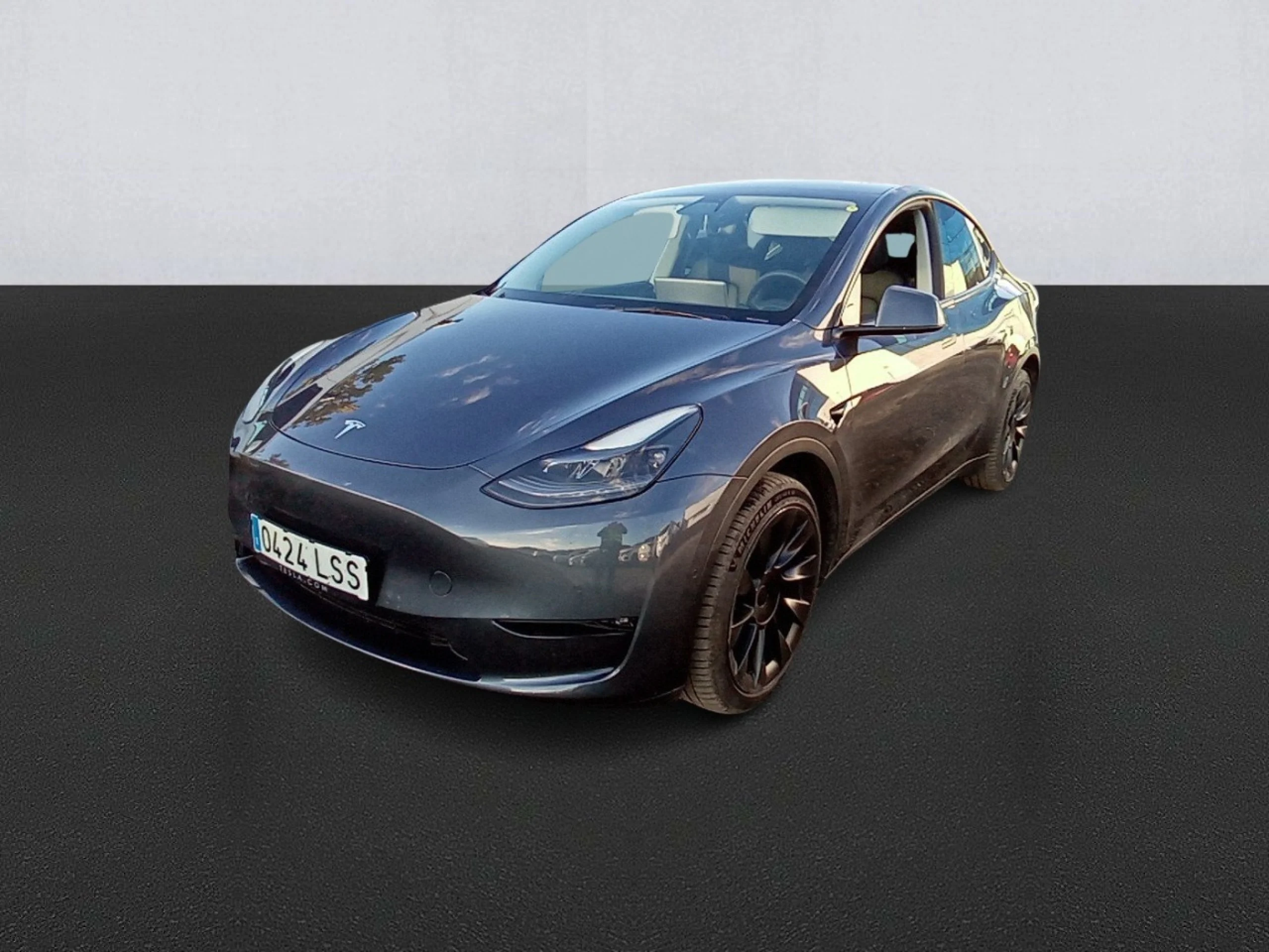 TESLA Model Y Gran Autonomía 4WD - Foto 1