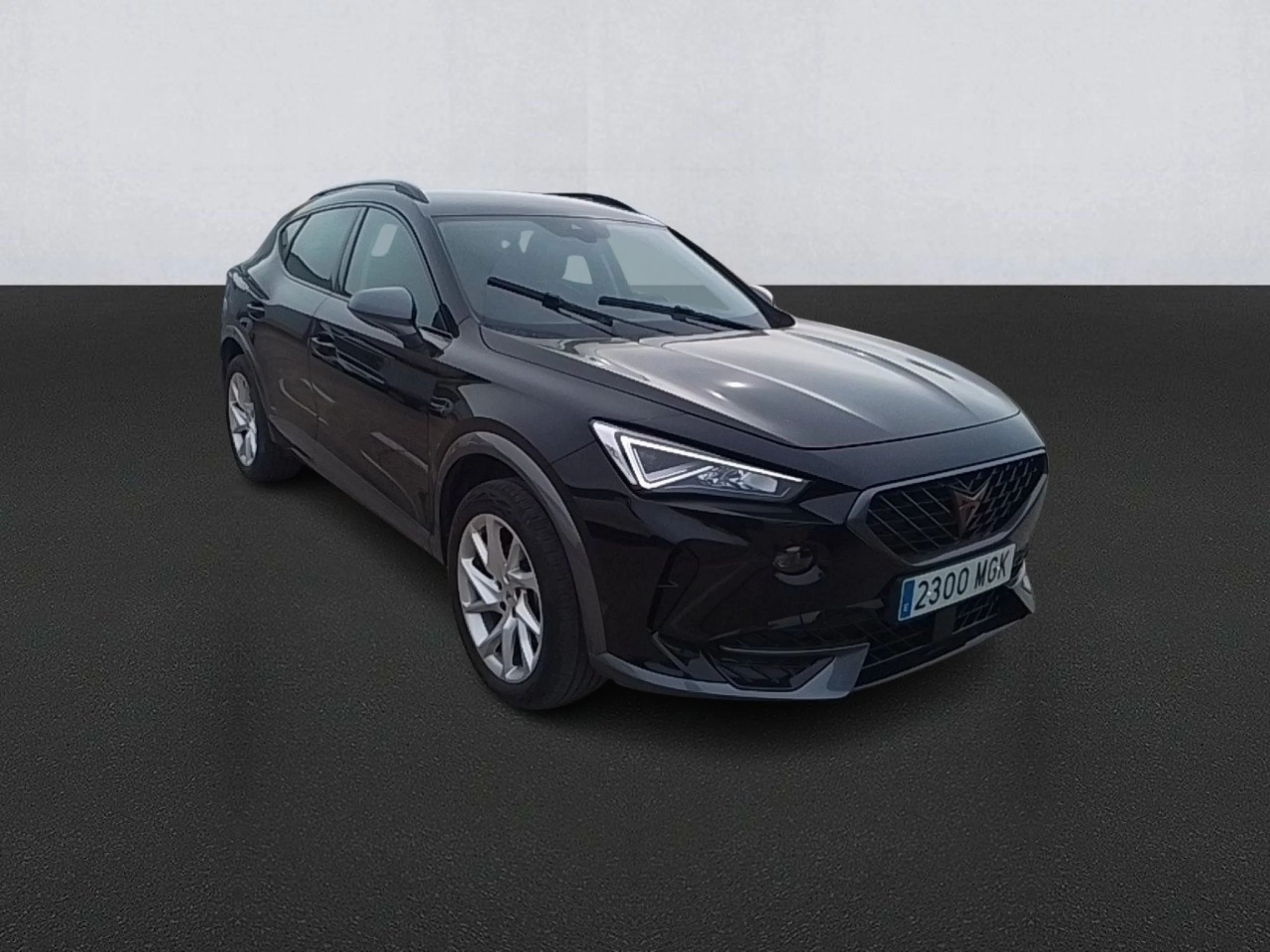 CUPRA Formentor 1.5 TSI 110kW (150 CV) DSG - Foto 3