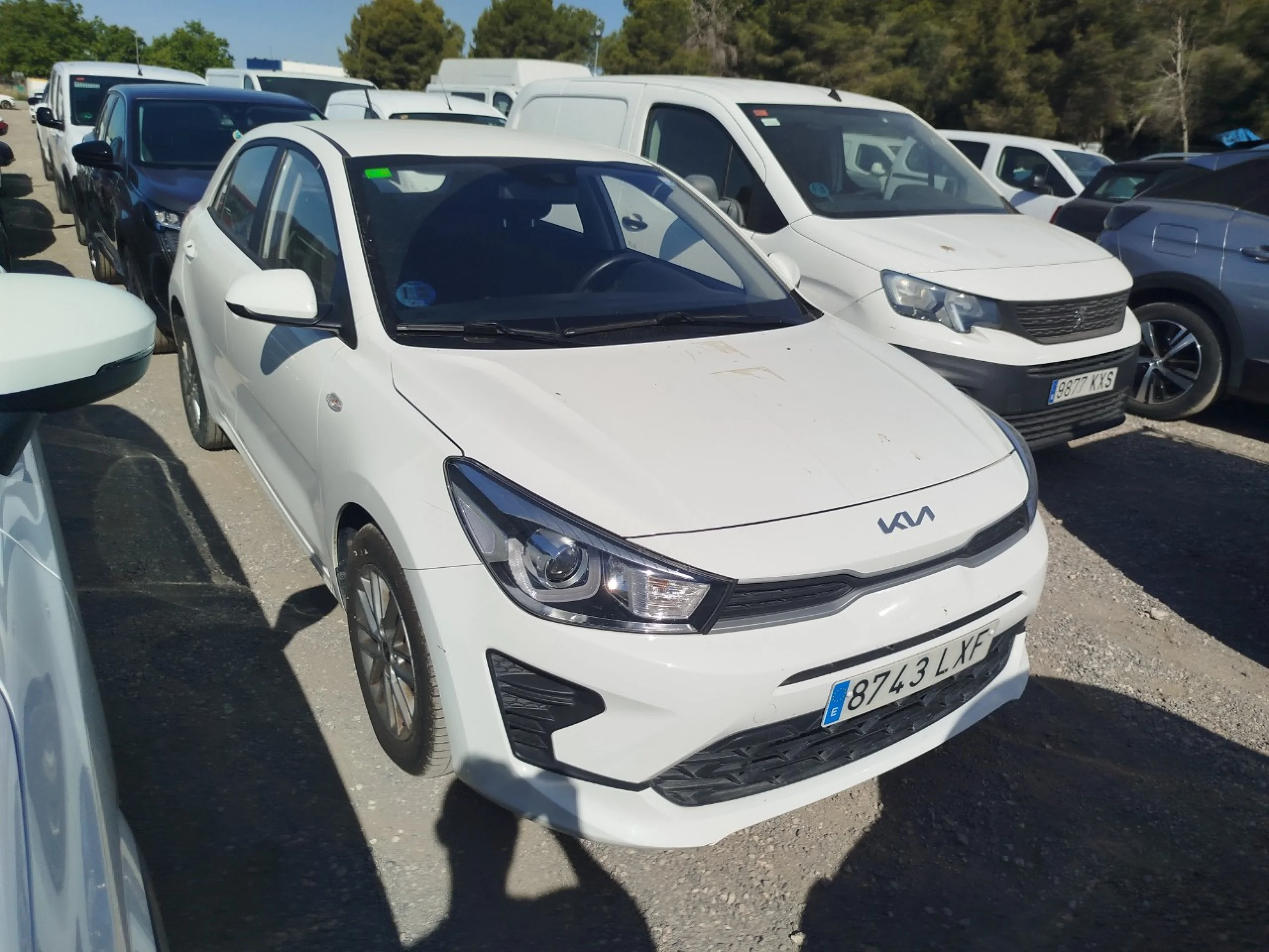 Kia Rio 1.0 T-GDi 74kW (100CV) MHEV iMT Concept - Foto 3