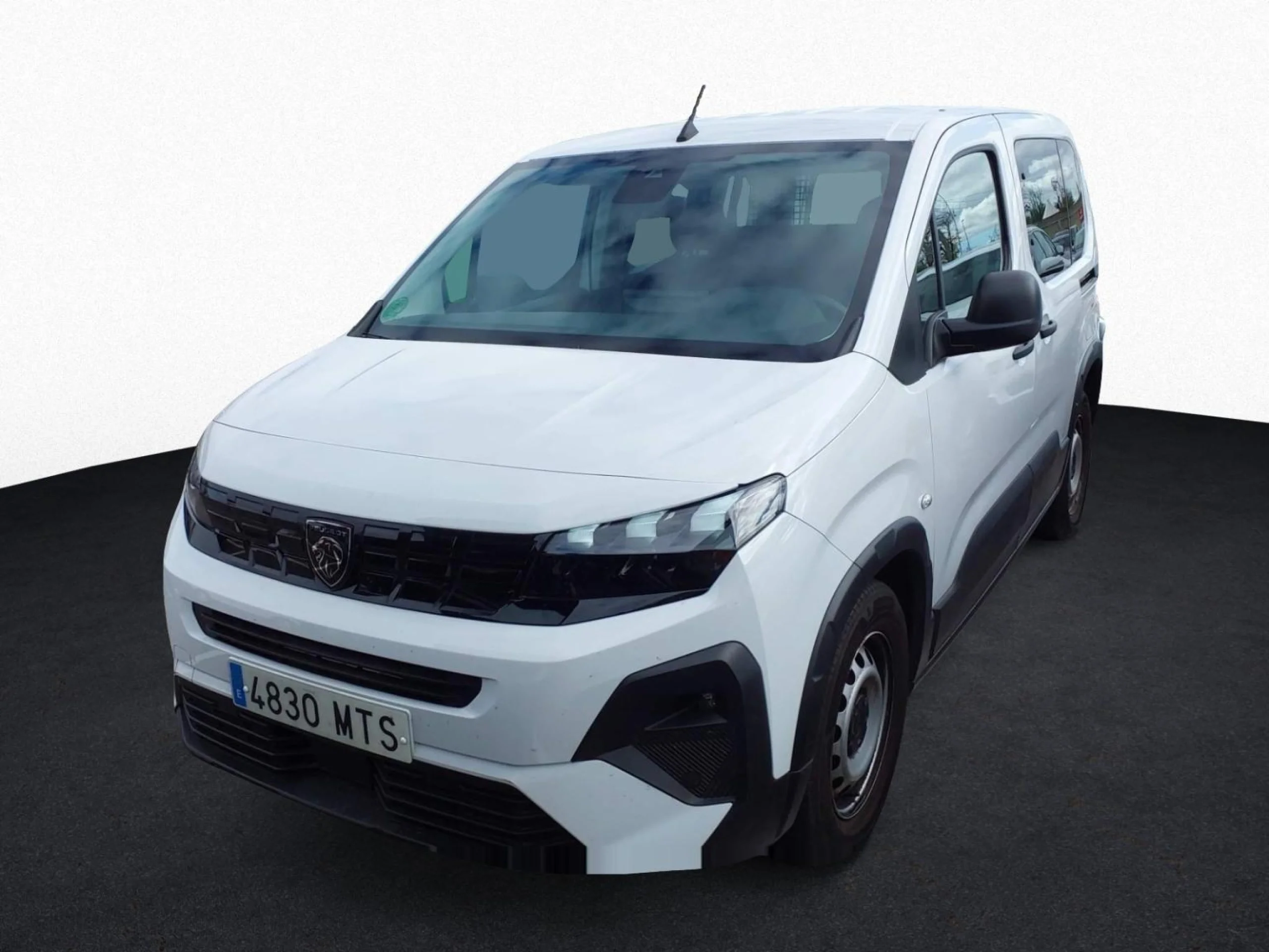 Peugeot Rifter Active Business Standard BlueHDi 100 - Foto 1