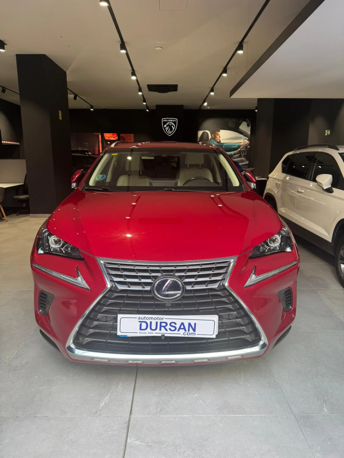 Lexus NX 300h NX 2.5 300h Executive 4WD - Foto 2
