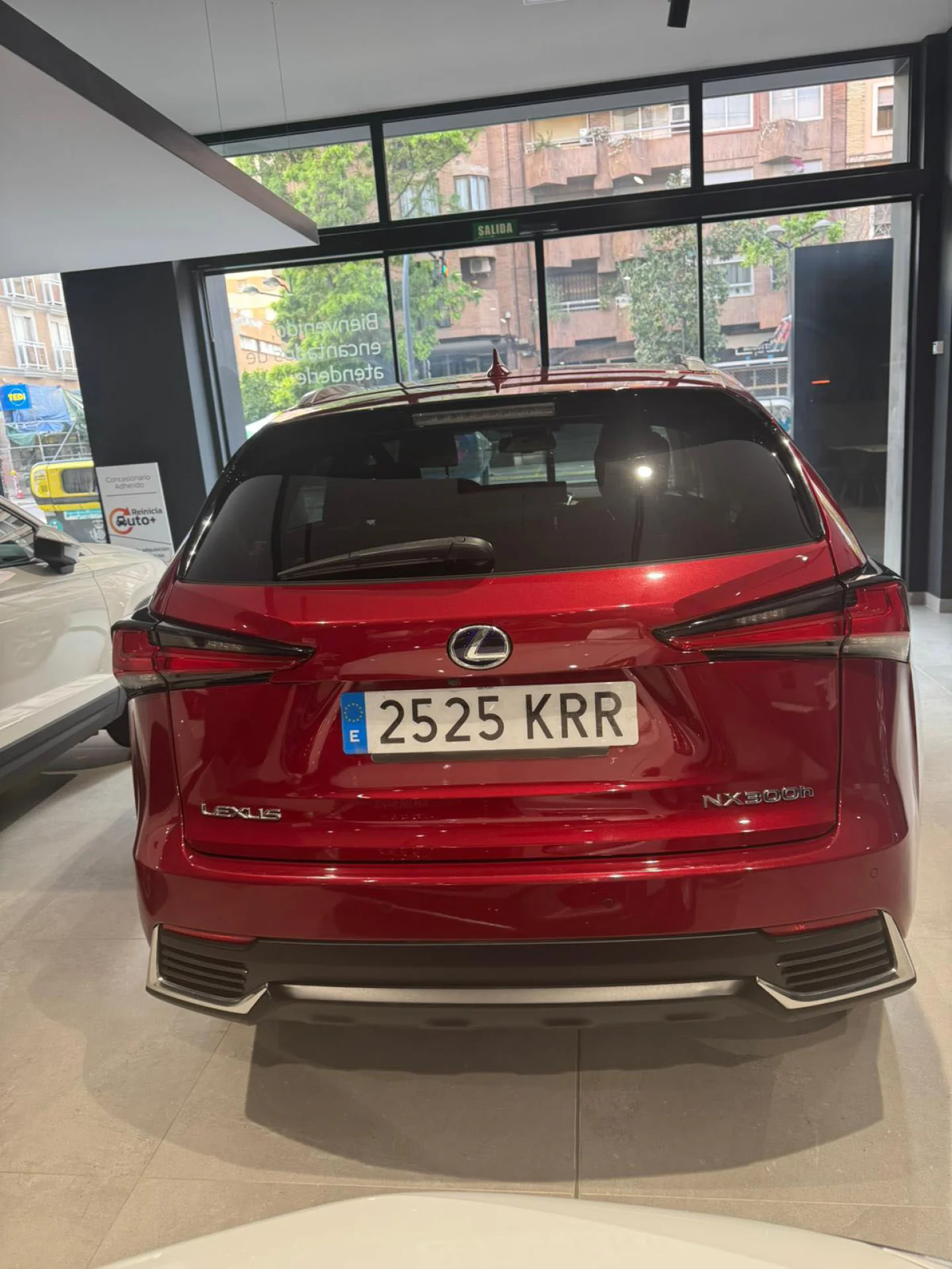 Lexus NX 300h NX 2.5 300h Executive 4WD - Foto 7