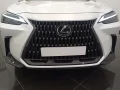 Thumbnail 4 del Lexus NX 350h Business City 4WD
