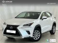 Thumbnail 1 del Lexus NX 300h NX300h Business Navigation 2WD