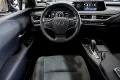 Thumbnail 44 del Lexus UX 300E Business